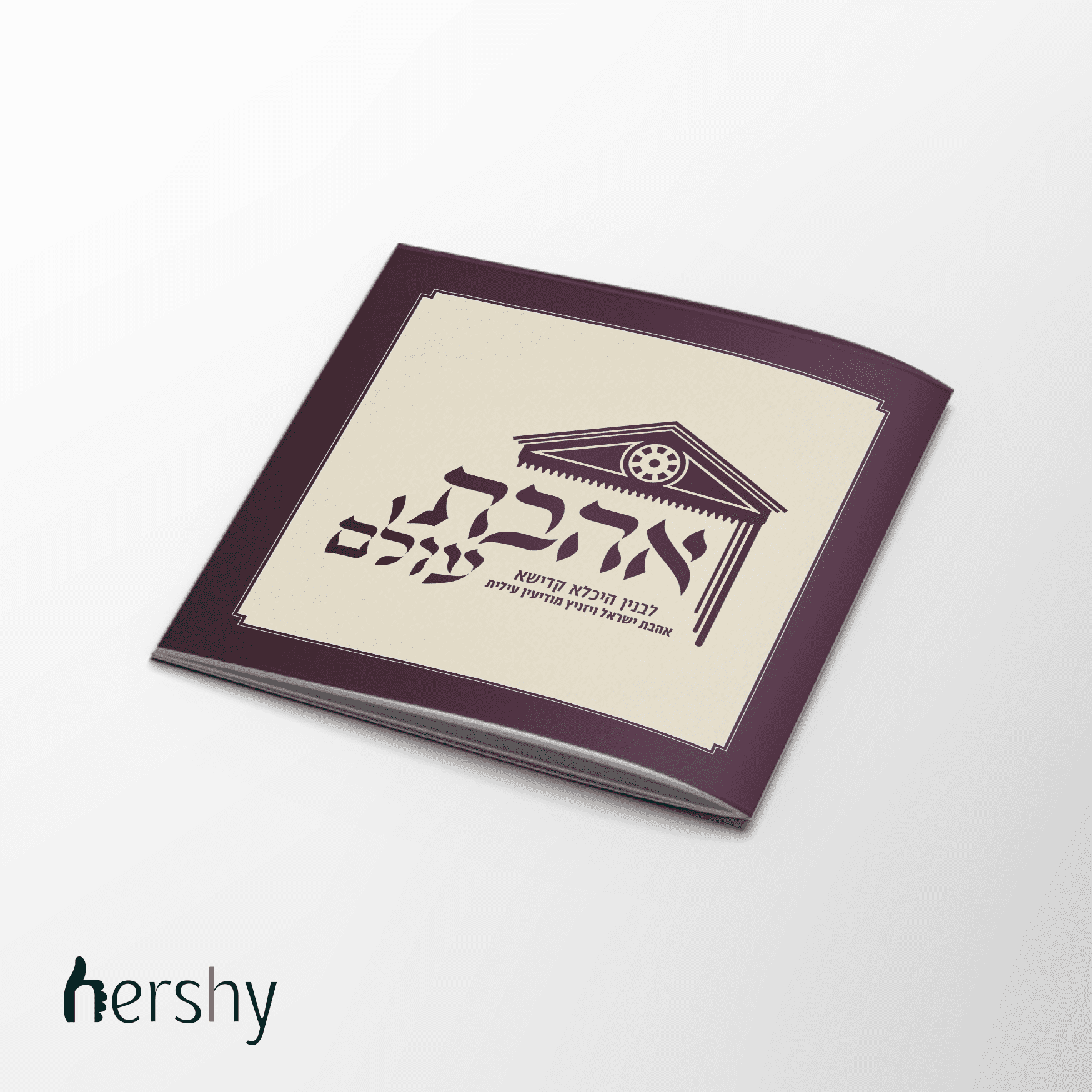 הדמייה חוברת מכירות.PNG