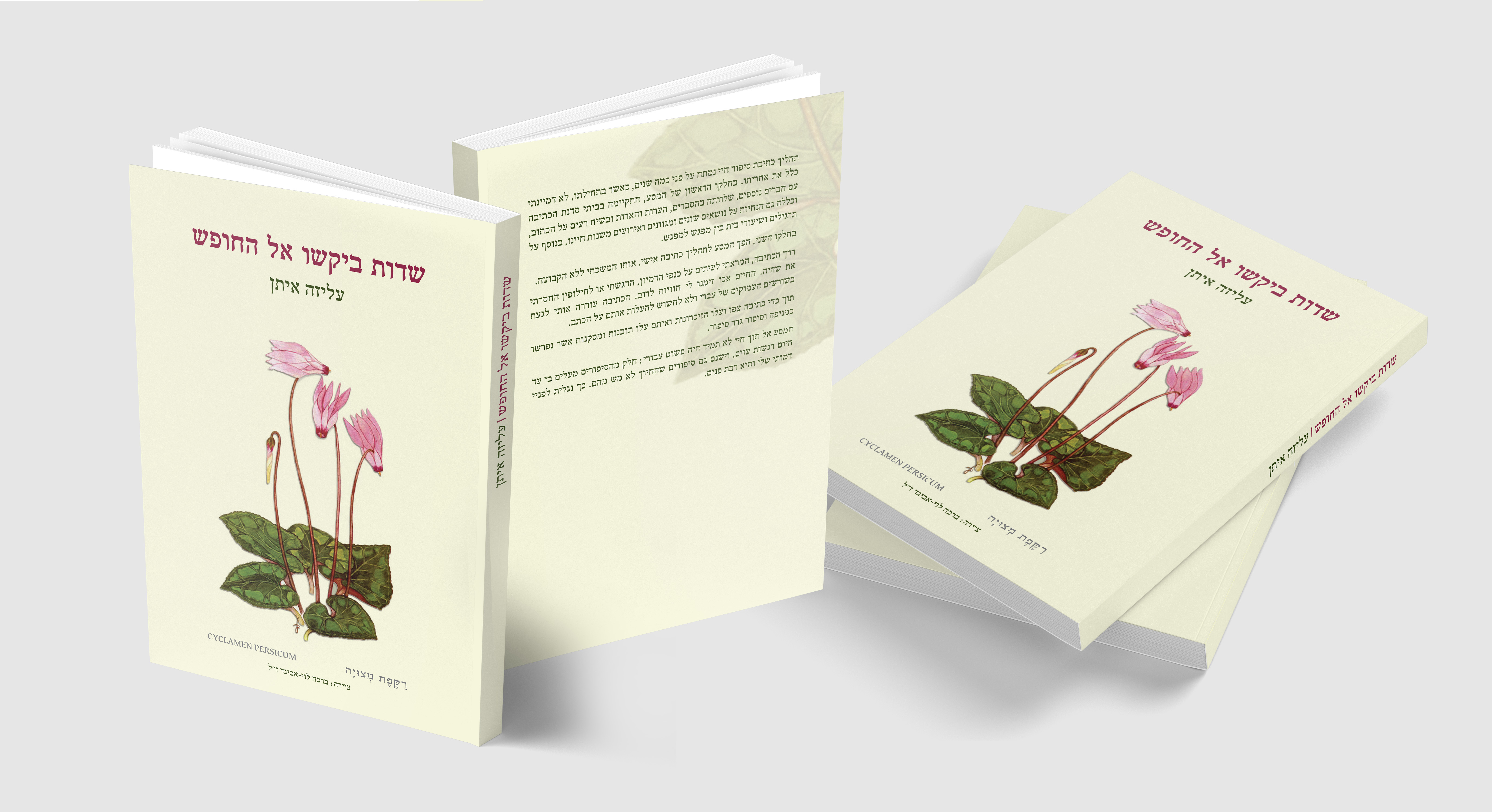 הדמייה כריכה בהירה.jpg