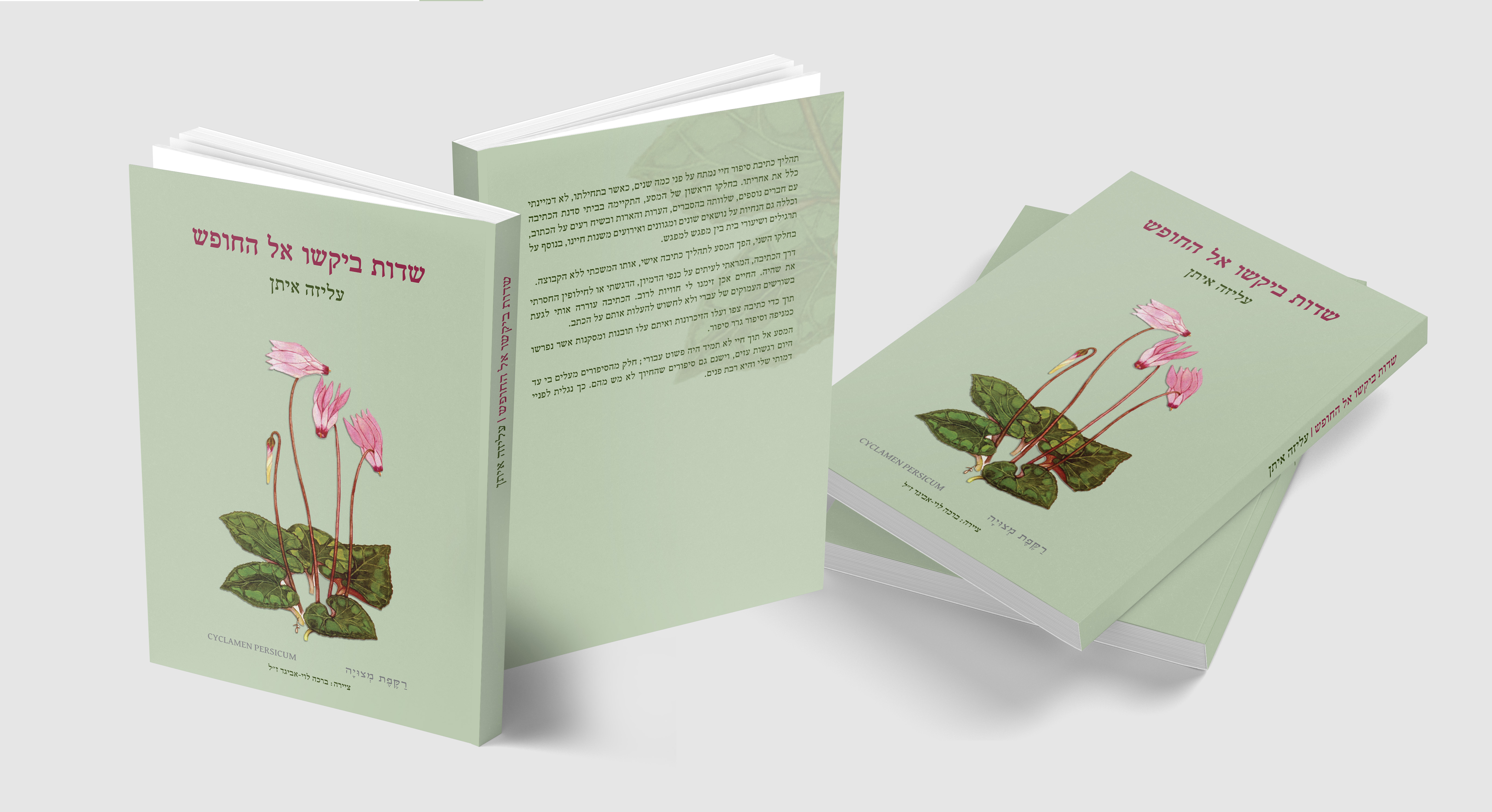 הדמייה כריכה ירוקה.jpg