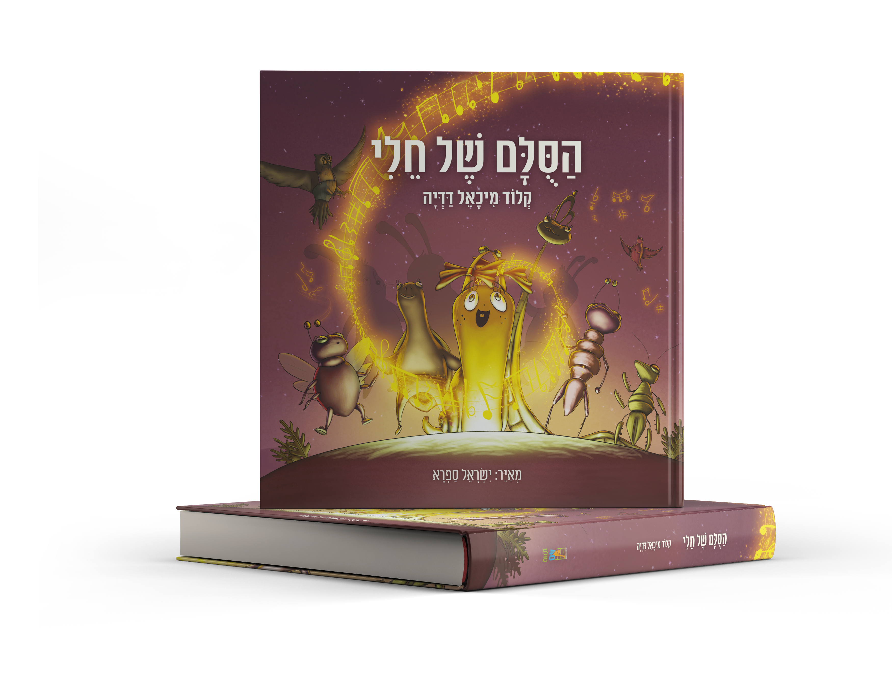 הדמייה ספר הסולם של חלי.png