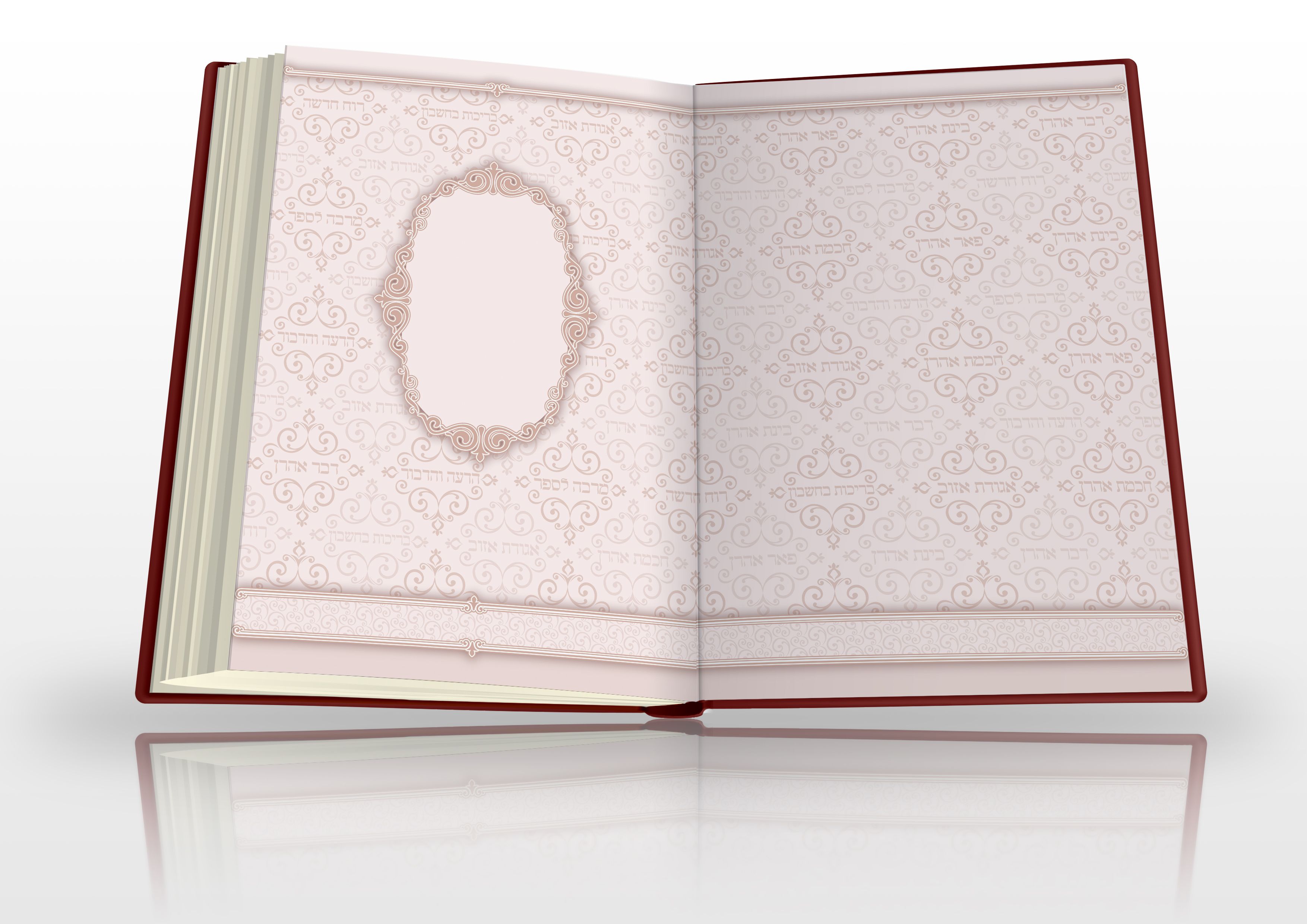 הדמייה פורזץ.jpg