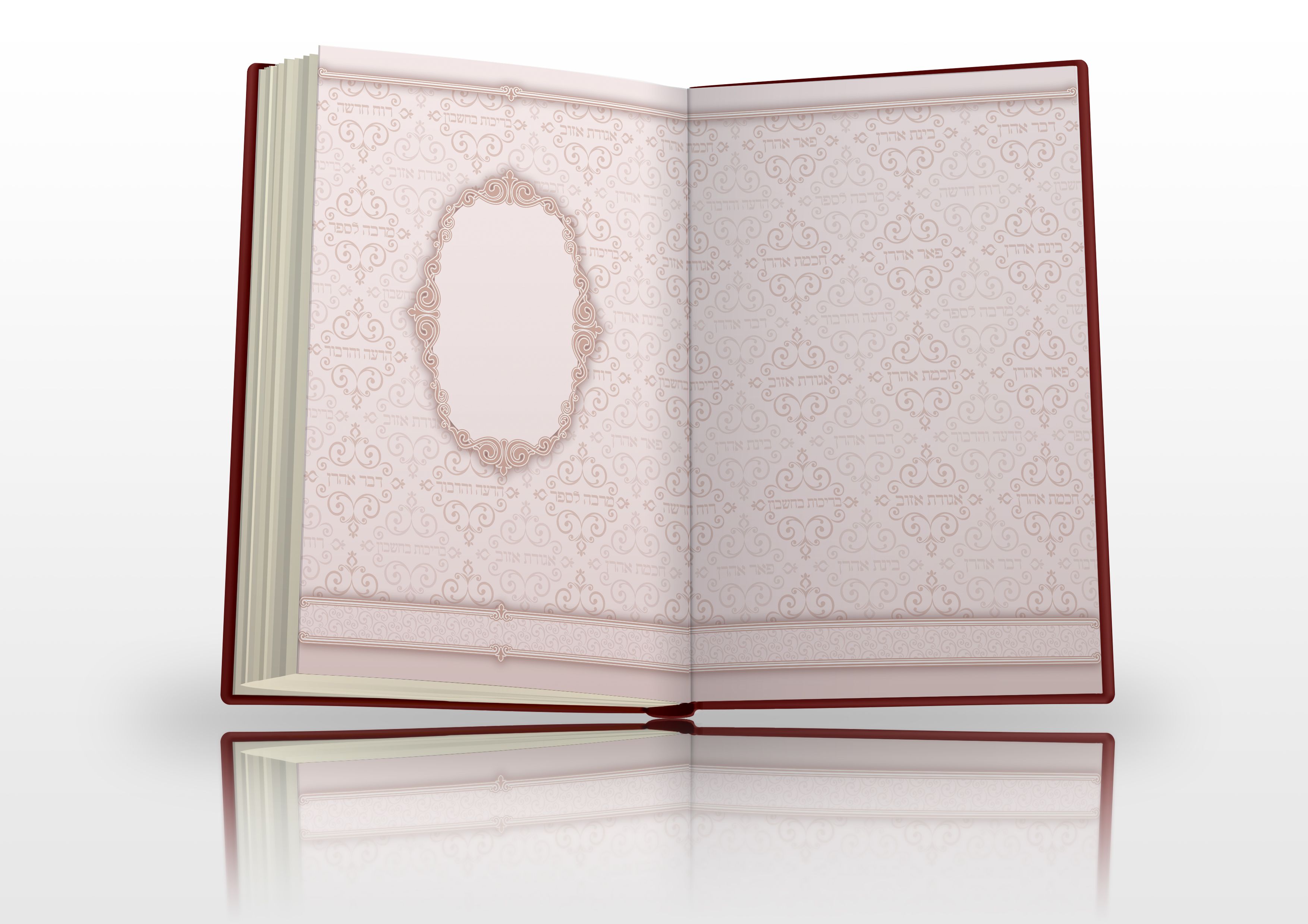 הדמייה פורזץ.jpg