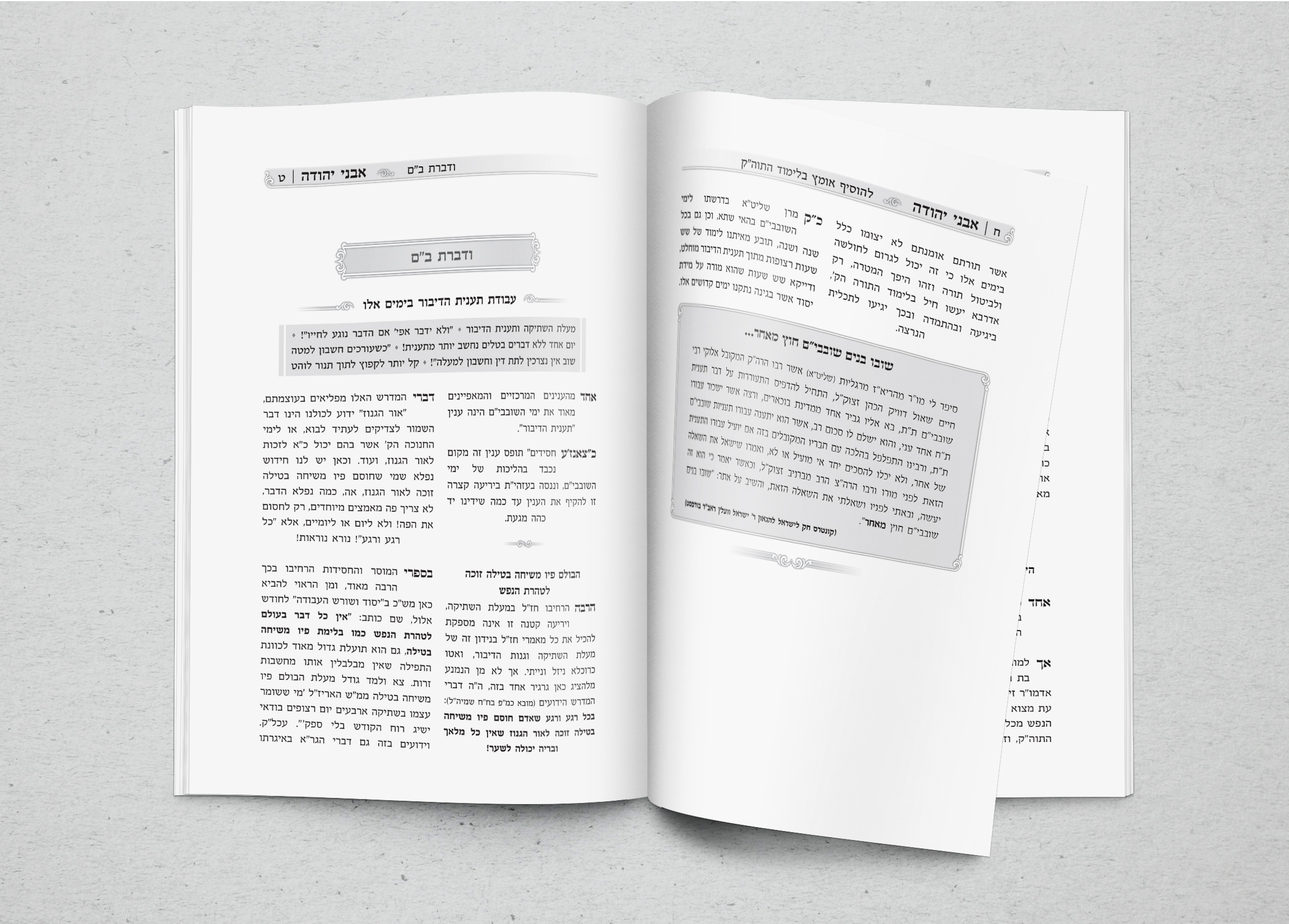 הדמייה פנים.jpg