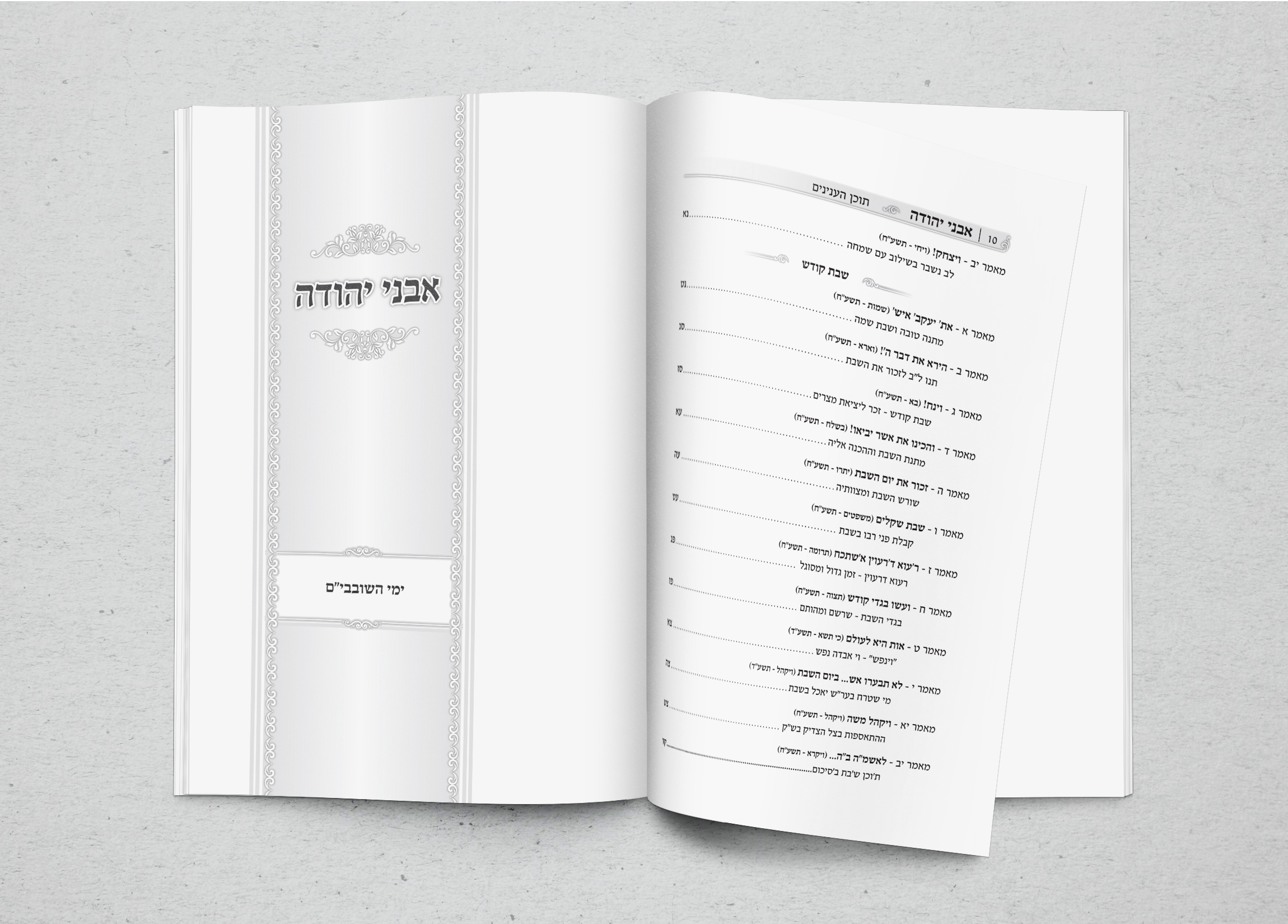 הדמייה פנים2.jpg