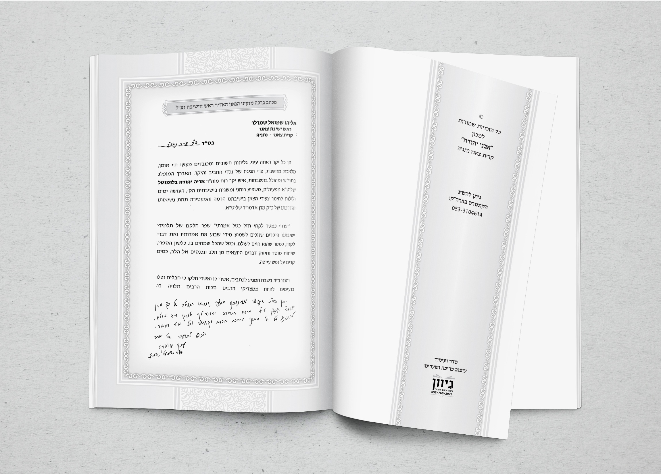 הדמייה פנים3.jpg