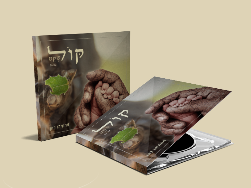 הדמייה קול שקט דיסק.png