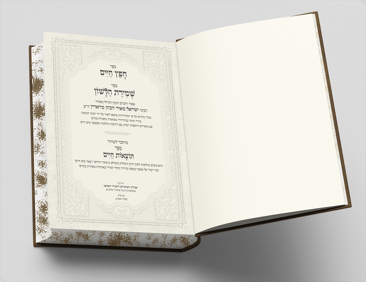 הדמייה שער.jpg