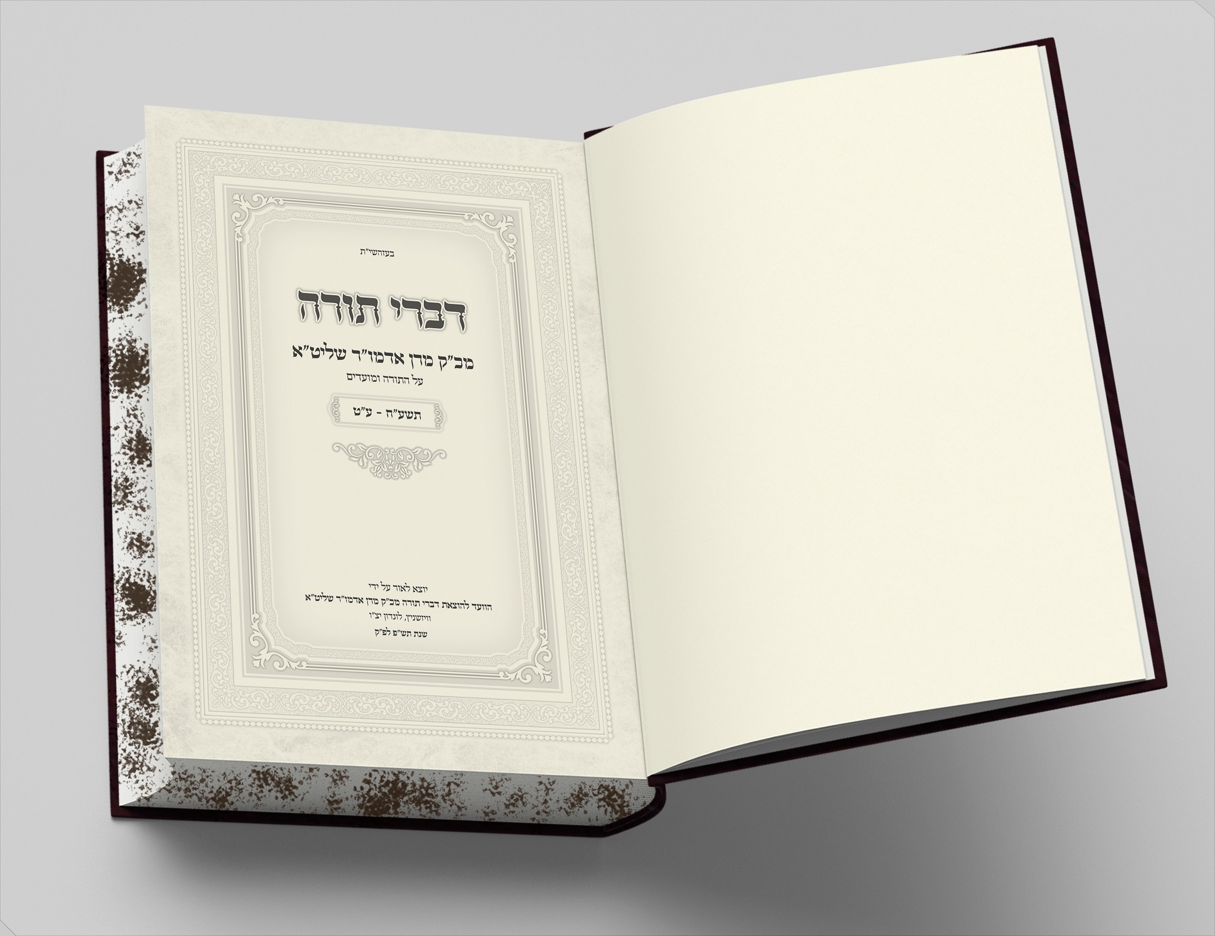 הדמייה שער.jpg