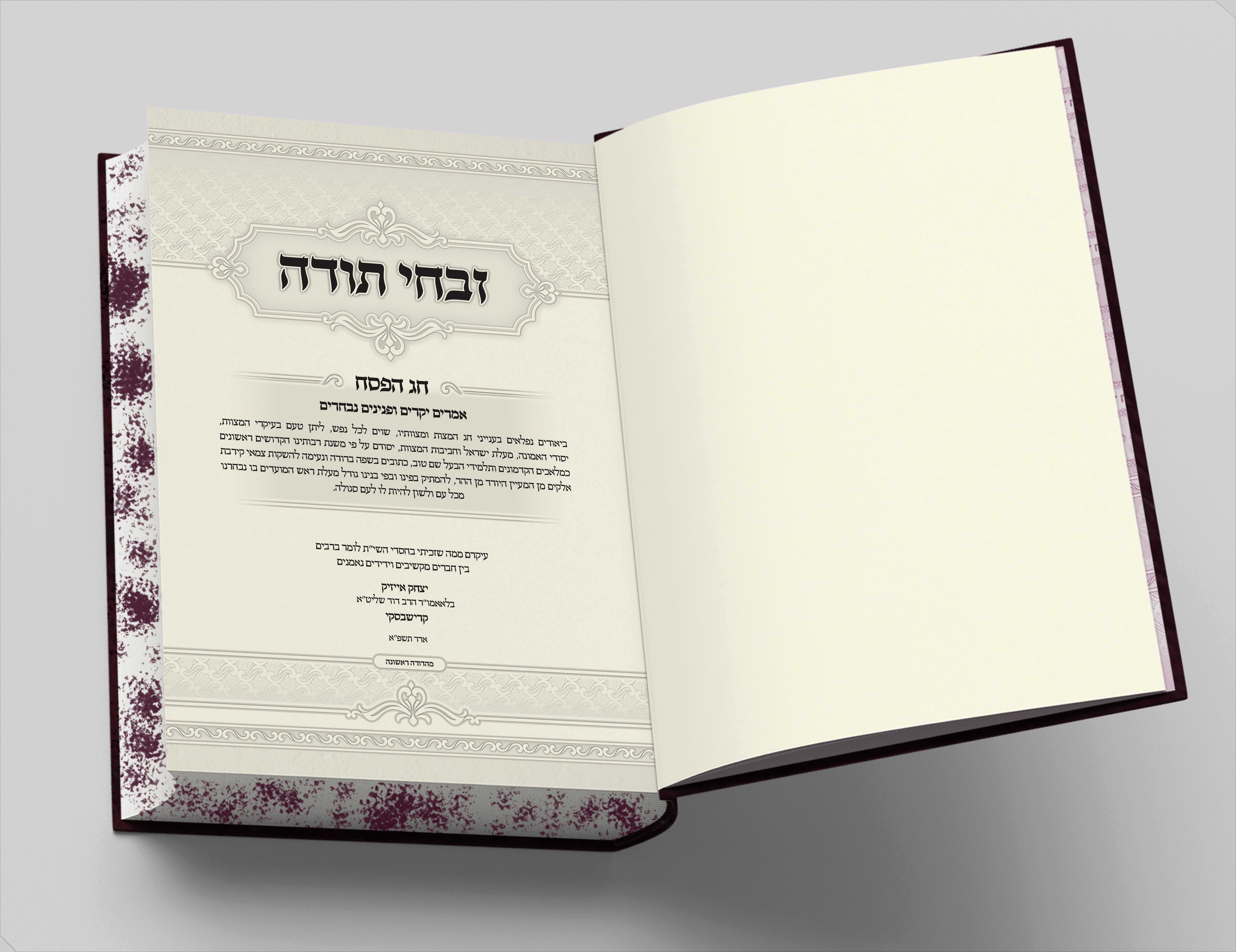 הדמייה שער.jpg