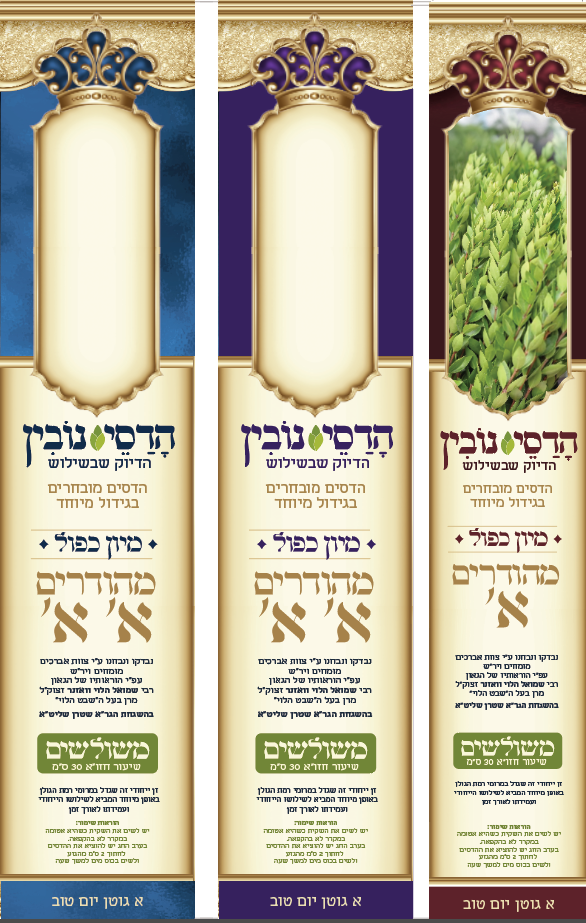 הדסי נובין תצוגה.png