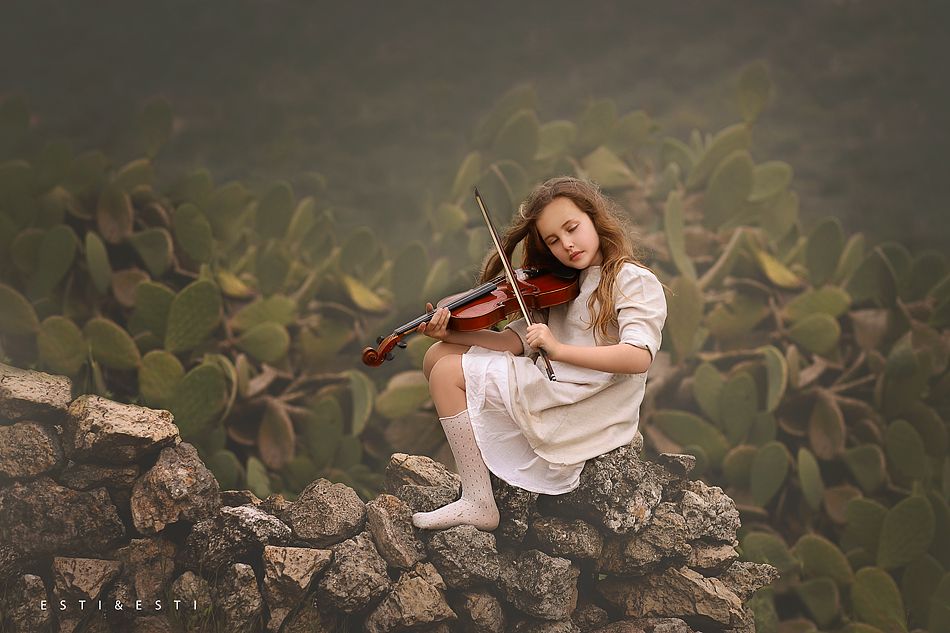 הדס יושבת על גדר ישנה כינור יפה מ.jpg