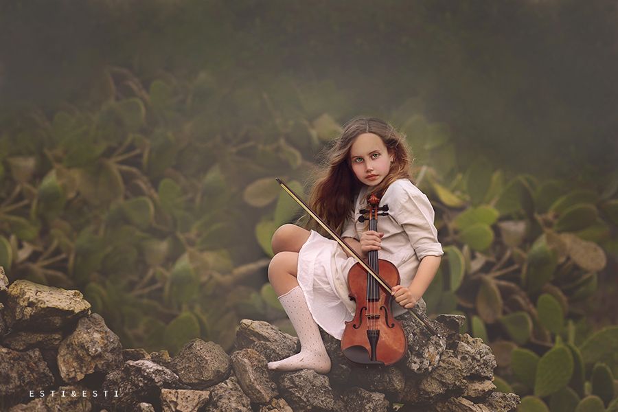 הדס כינור למטה יפה מ.jpg