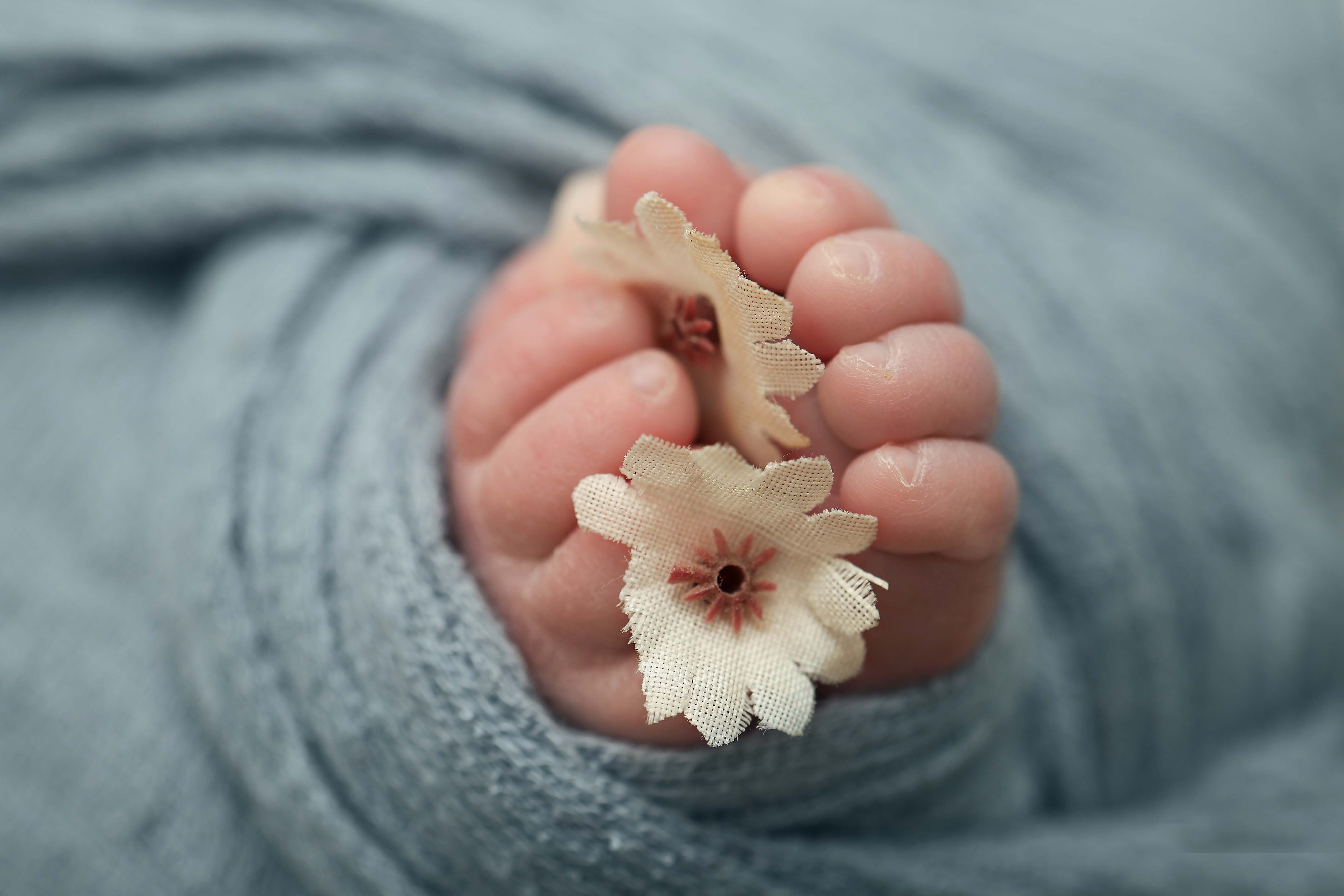 הדס רגלים נמוך לפרוג.jpg