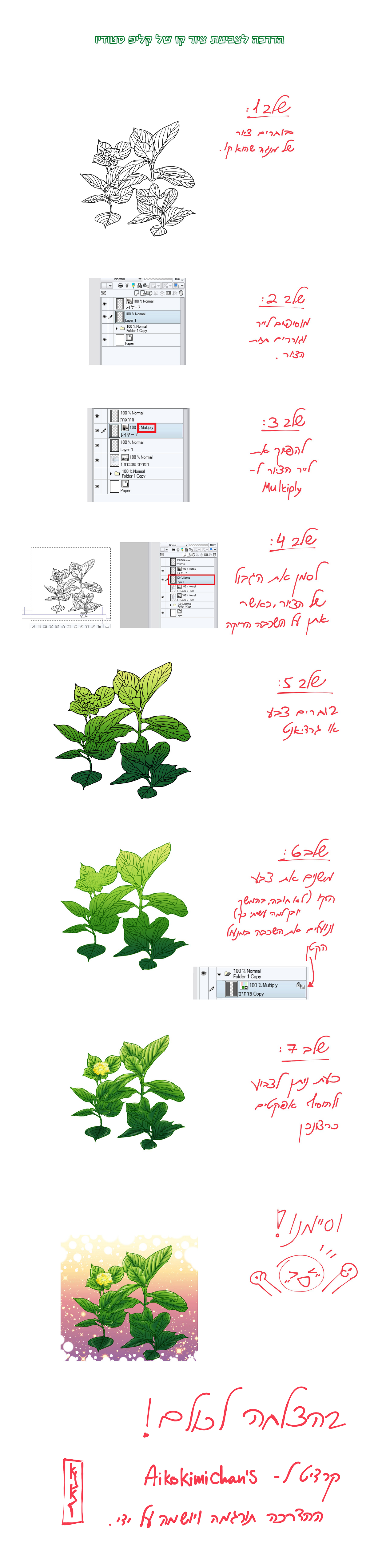 הדרכת צביעה.png