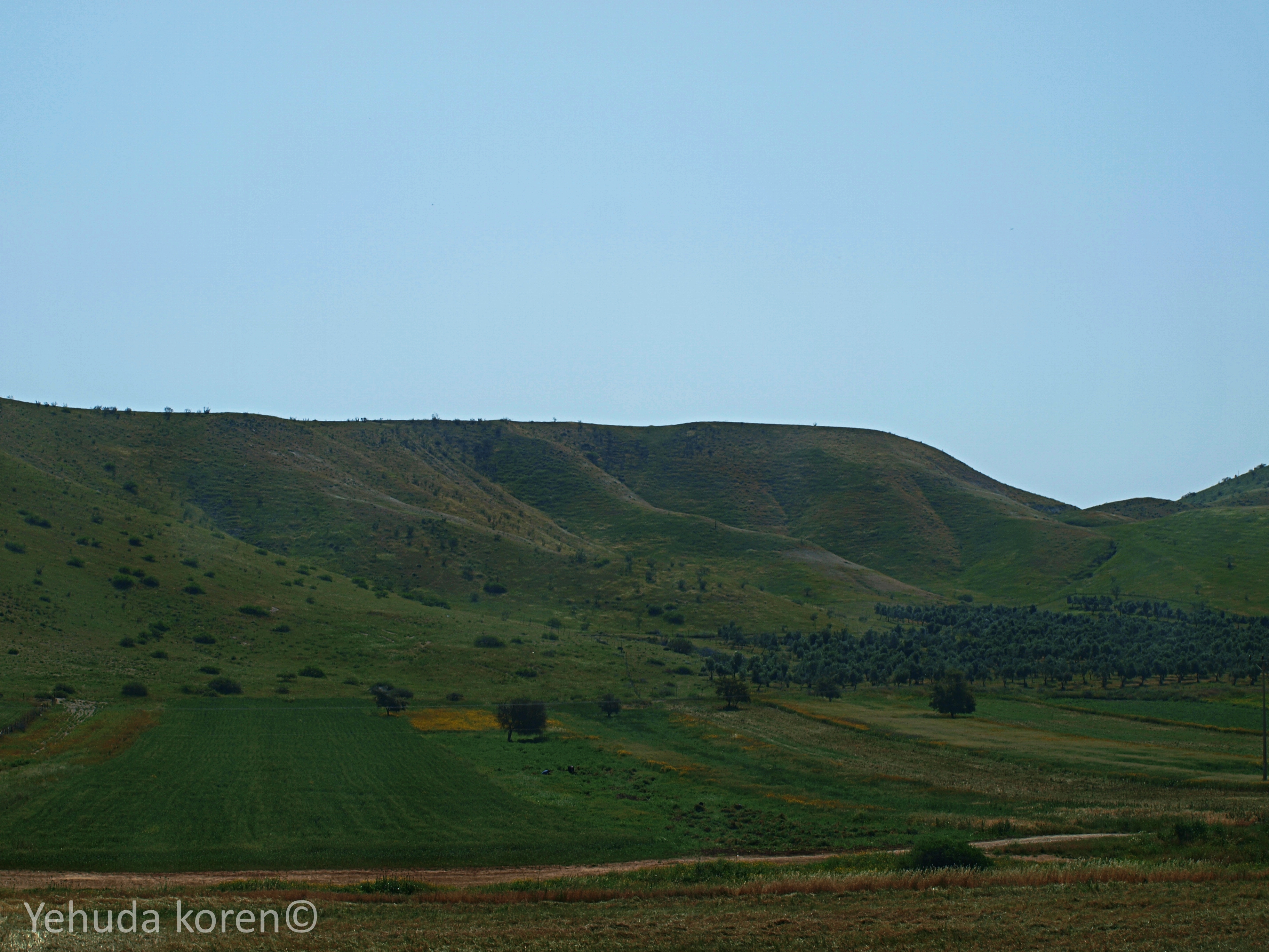 ההרים הירוקים בגולן.JPG