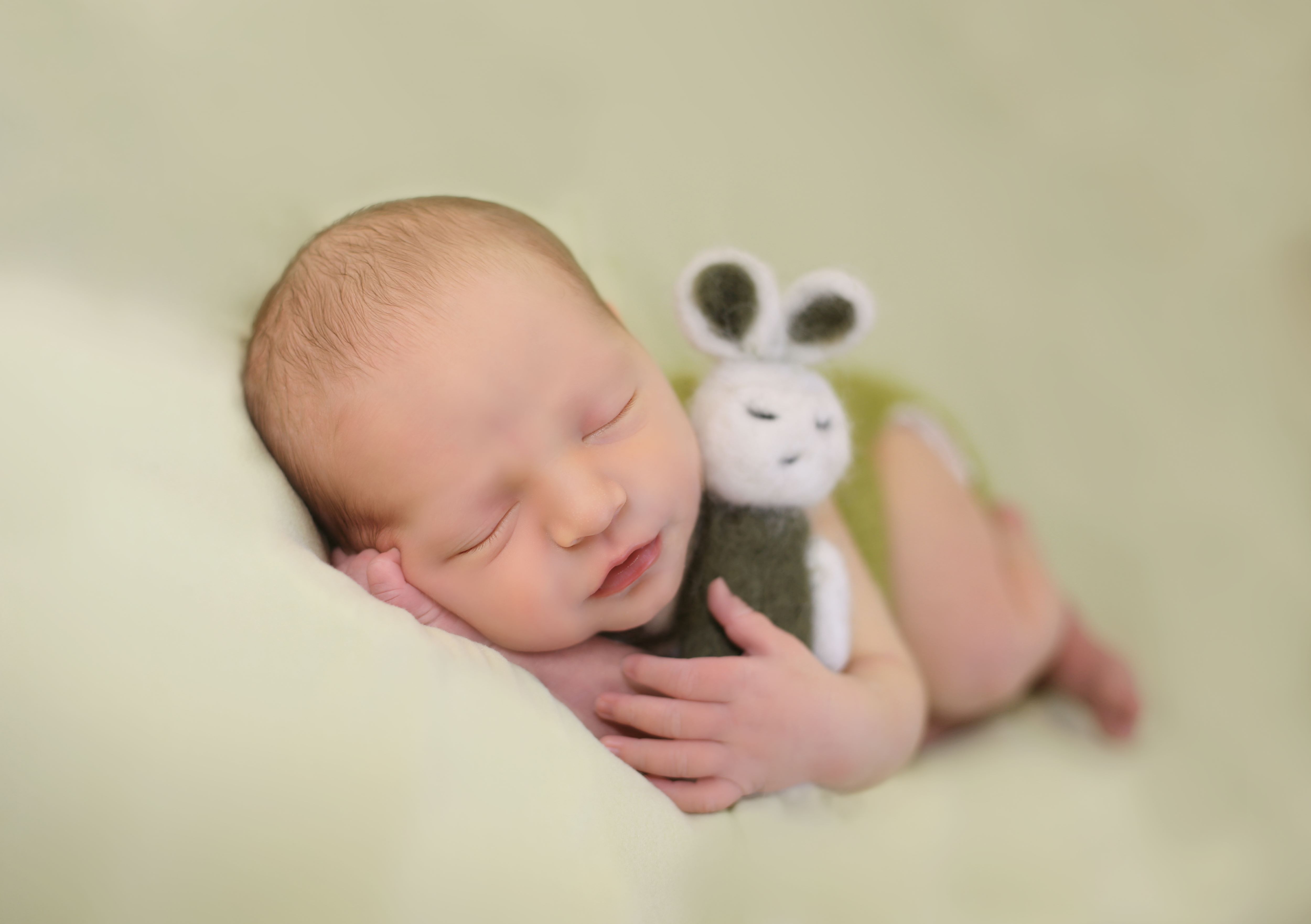 הוניגסברגי קטן.jpg