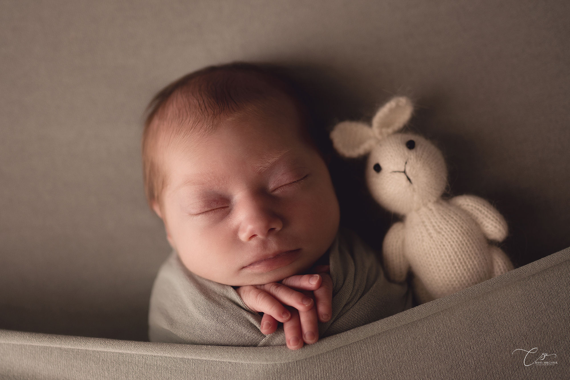 הופמן ניובורן (427).jpg