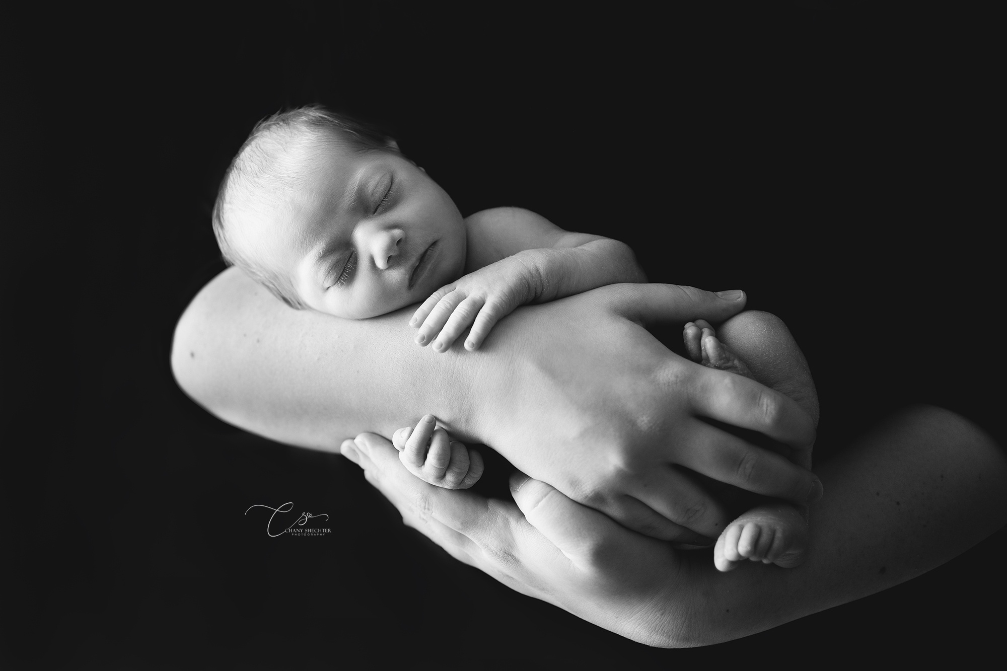 הופמן ניובורן (480).jpg