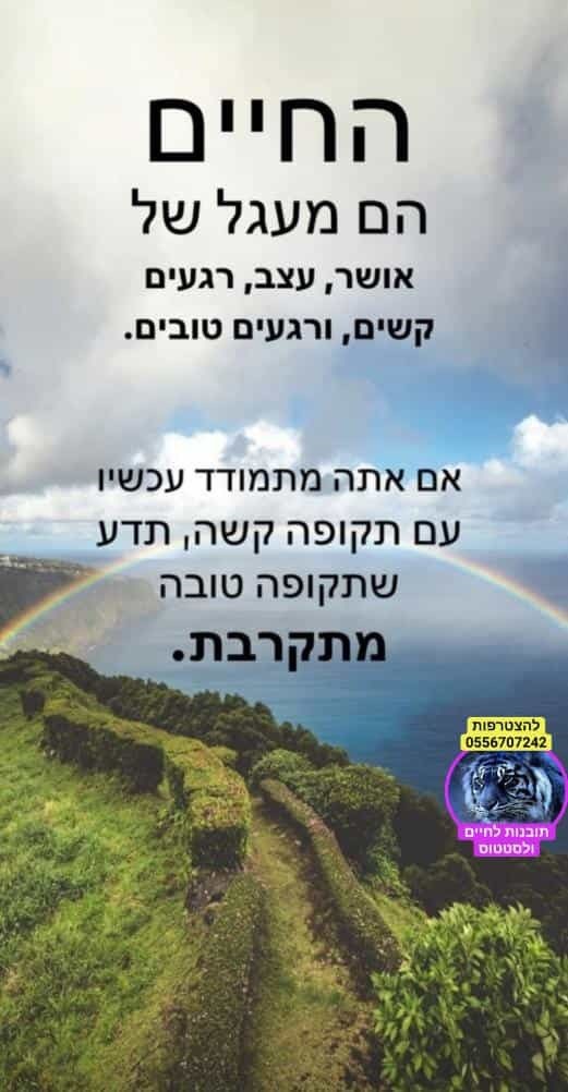 הורדה (3).jpg