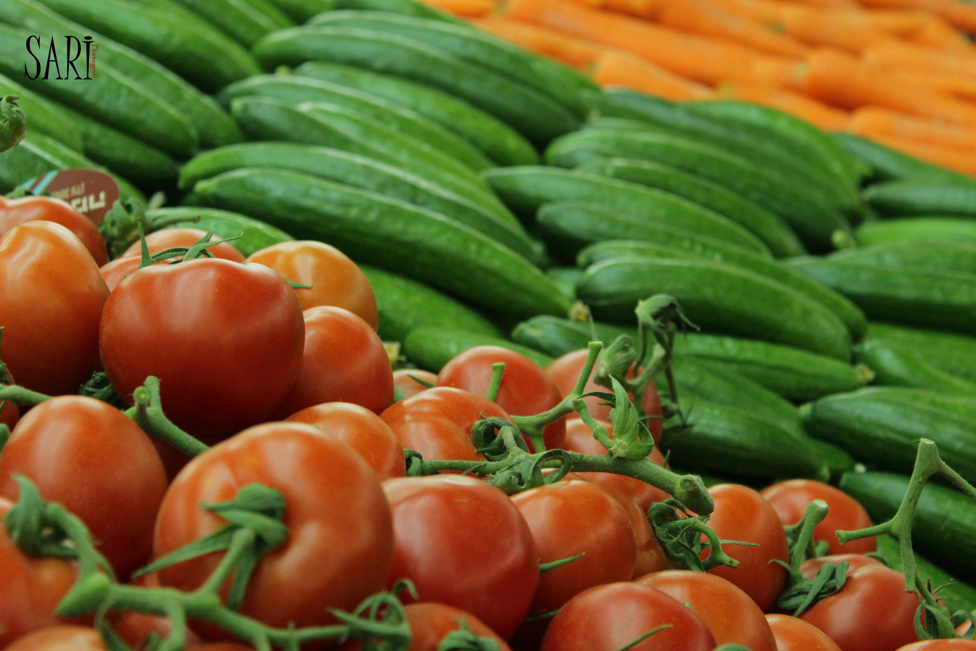 הורדת איכות.jpg