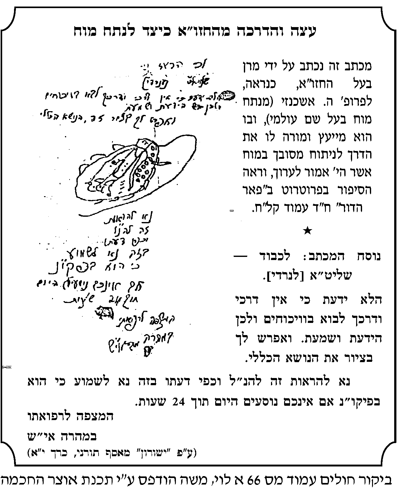 החזוא ציור ניתוח.png