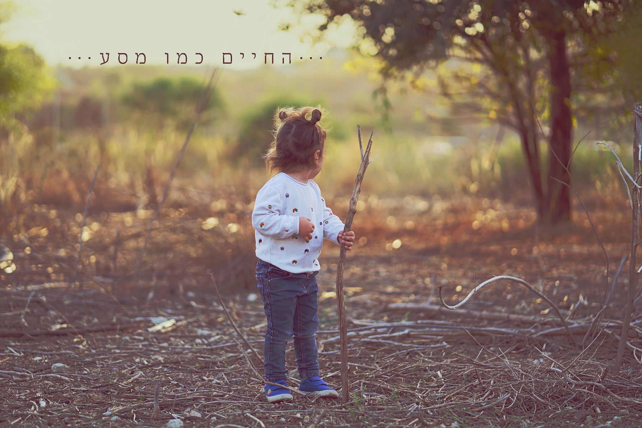 החיים כמו מסע.jpg