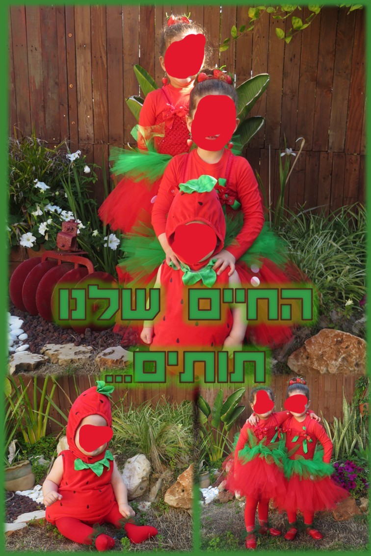 החיים   שלנו תותים.jpg