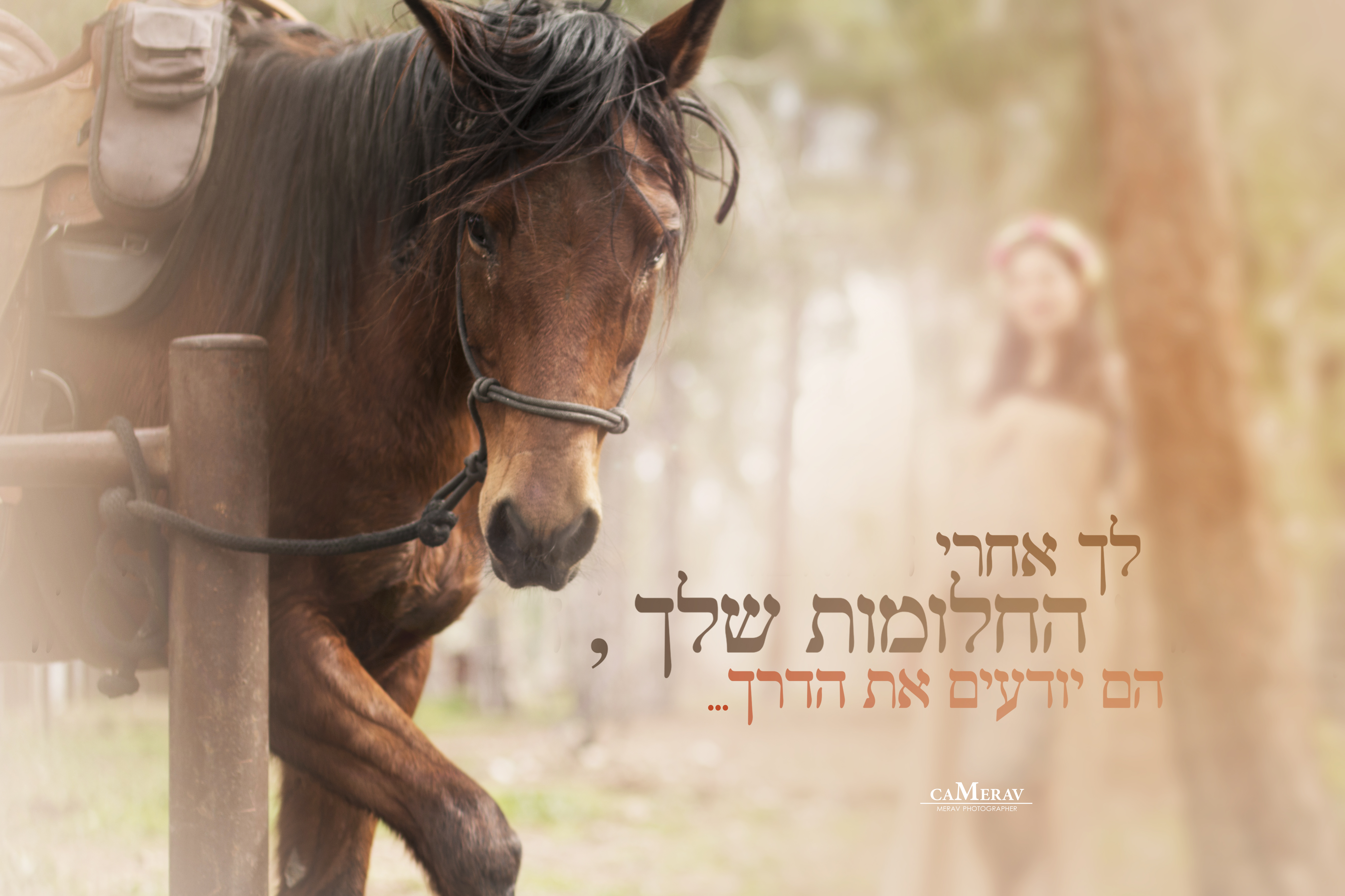 החלומת שלך.jpg