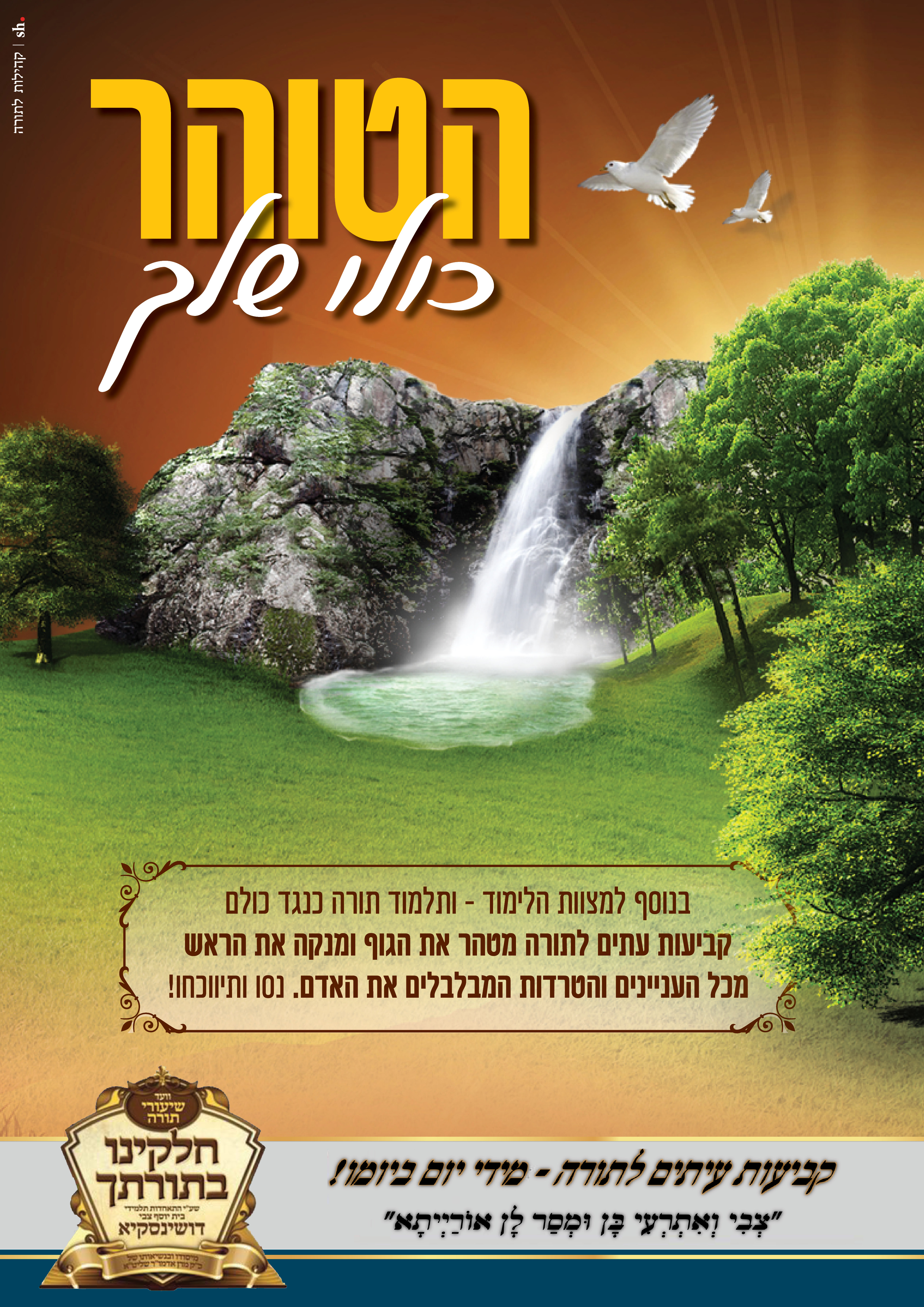 הטוהר כולו שלך.jpg