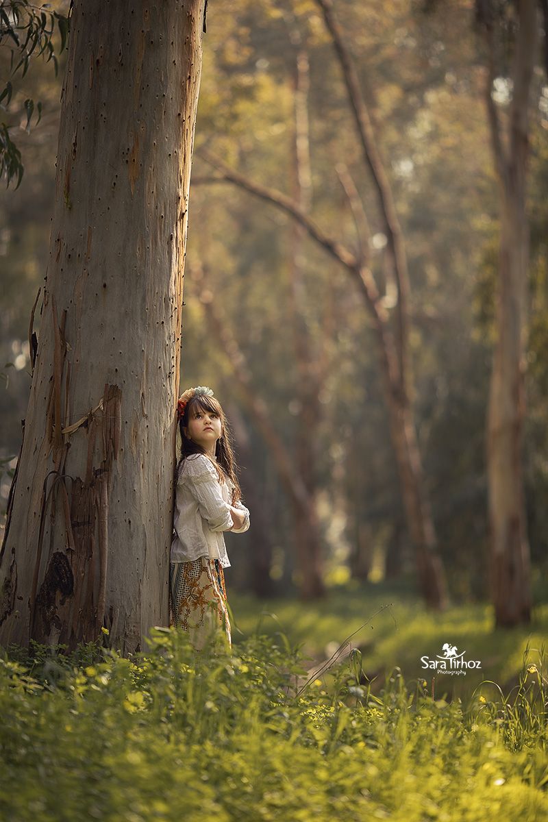 הילדה והעץ2.jpg