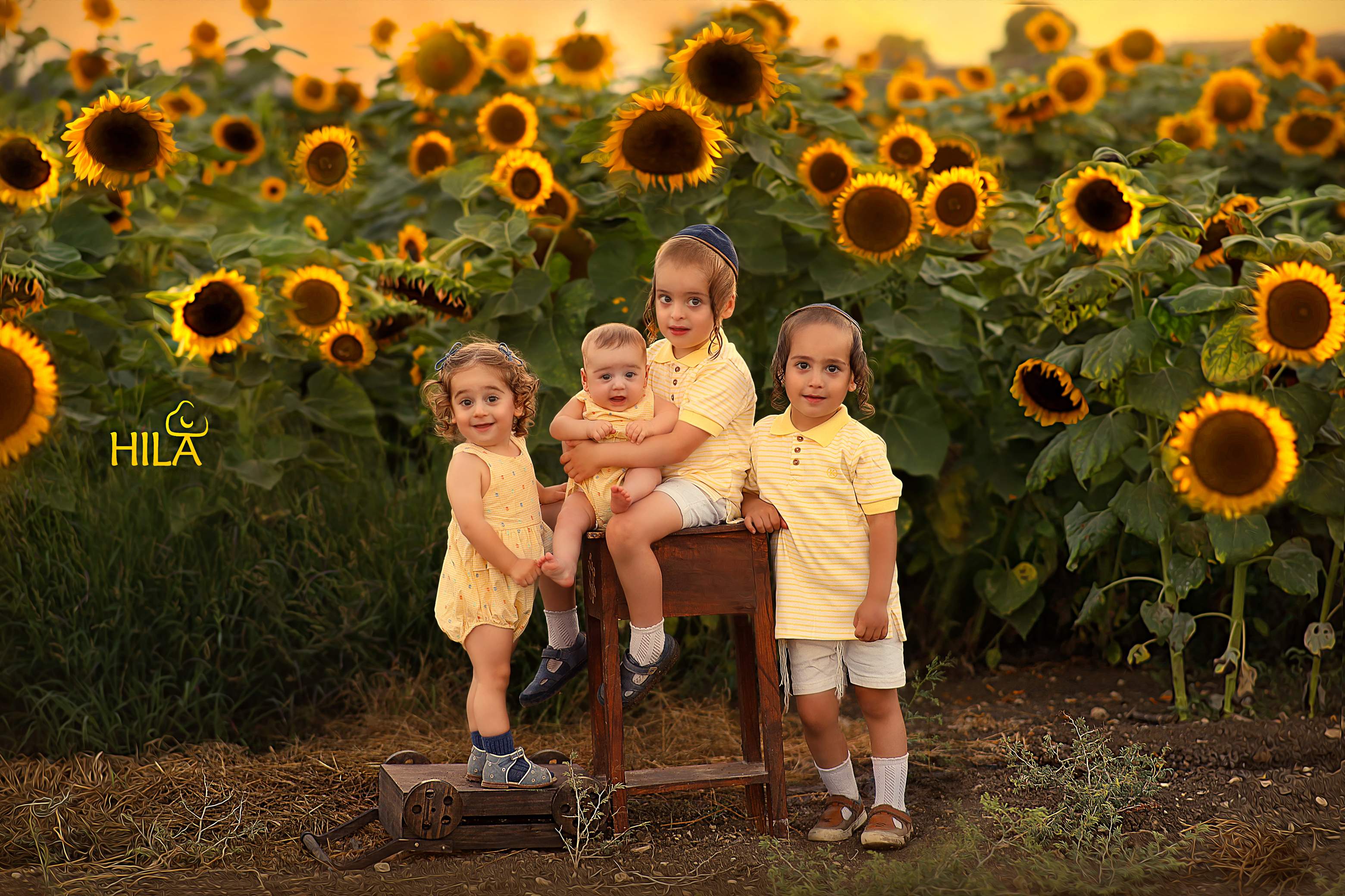 הילי ארגמן 0527656832 (13)(1).jpg