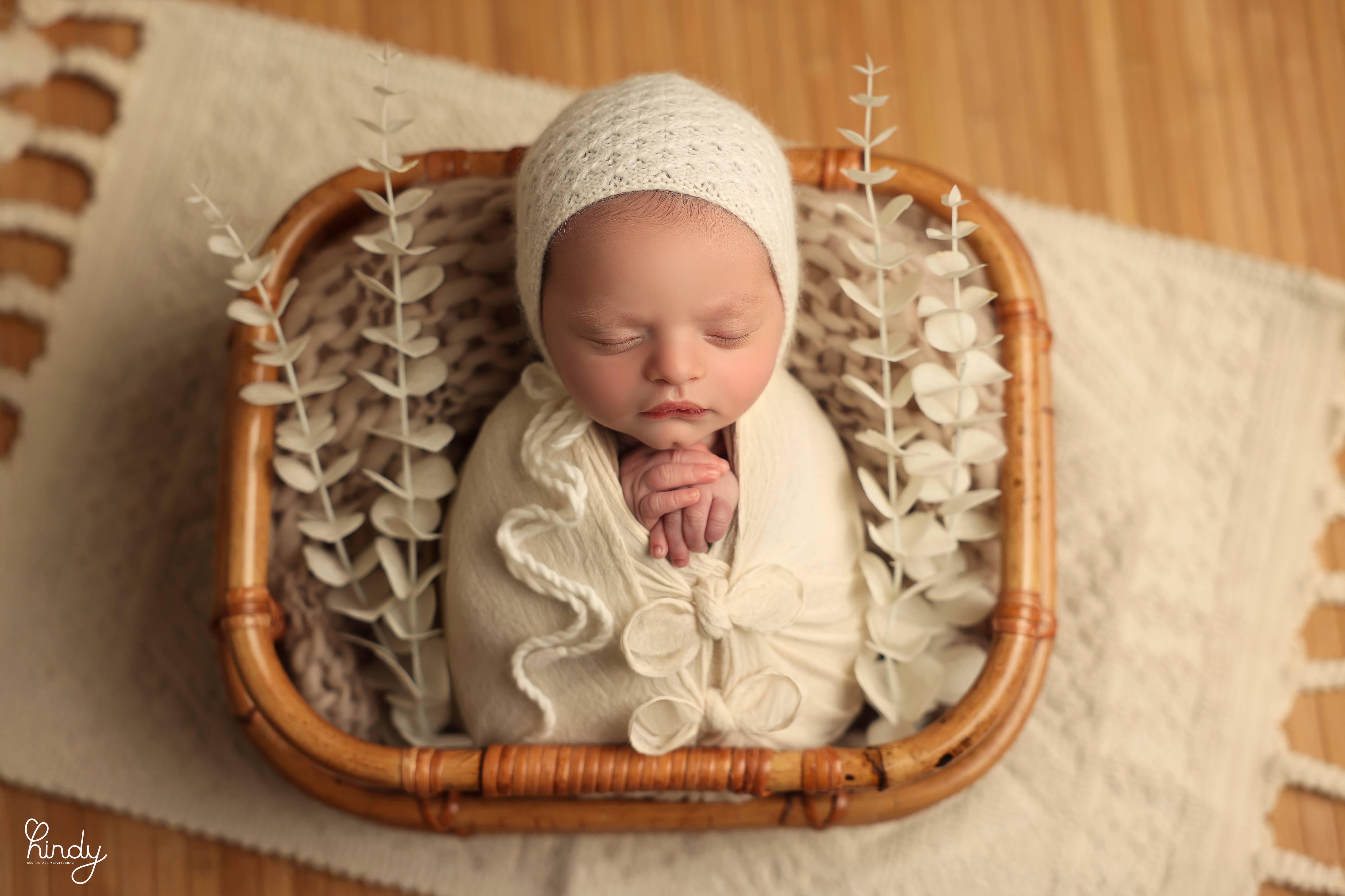 הינדי בלוי צילום 0556752832 (13).jpg