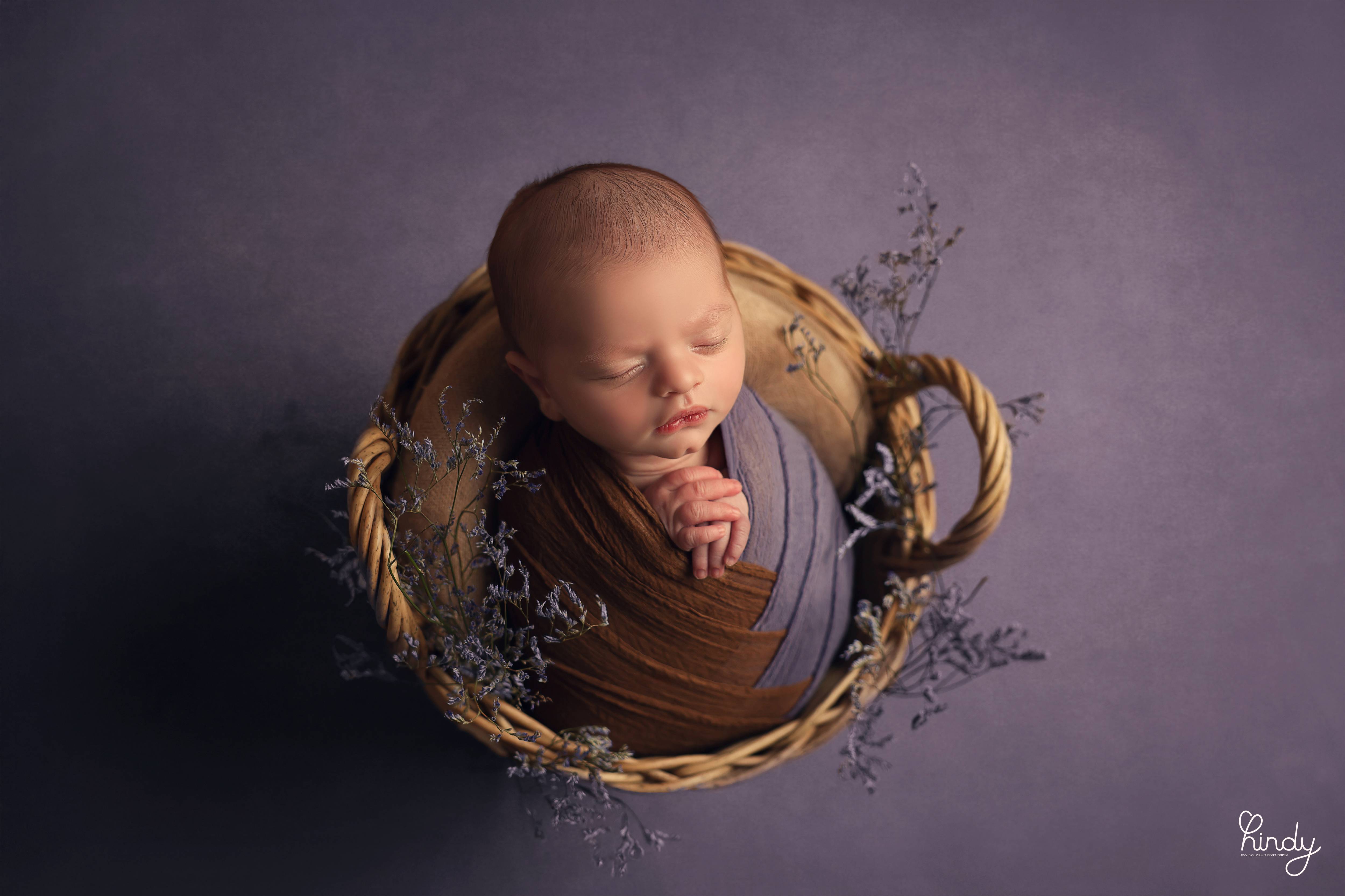 הינדי בלוי צילום 0556752832 (2).jpg