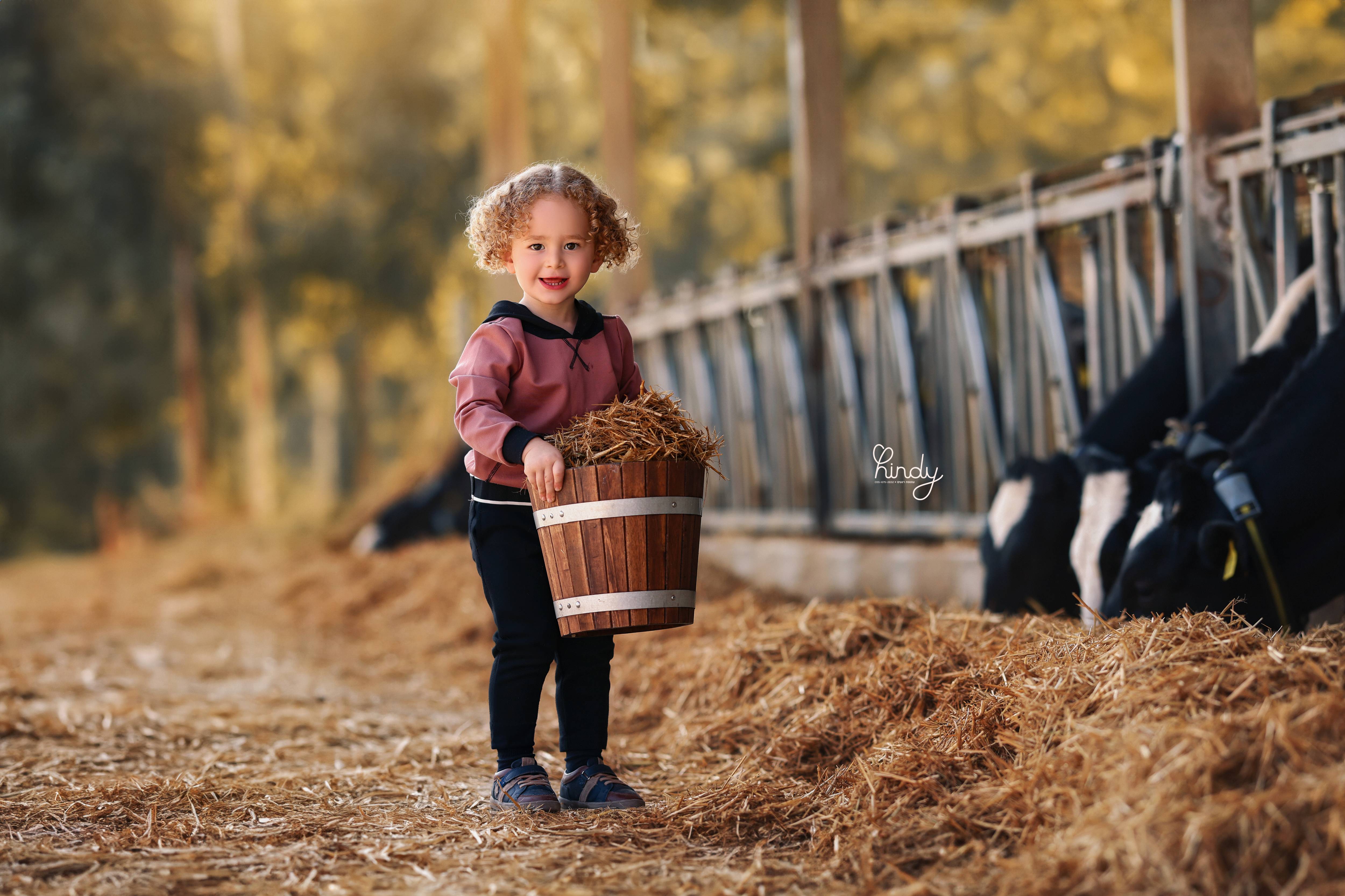 הינדי בלוי צילום 0556752832 (2).jpg