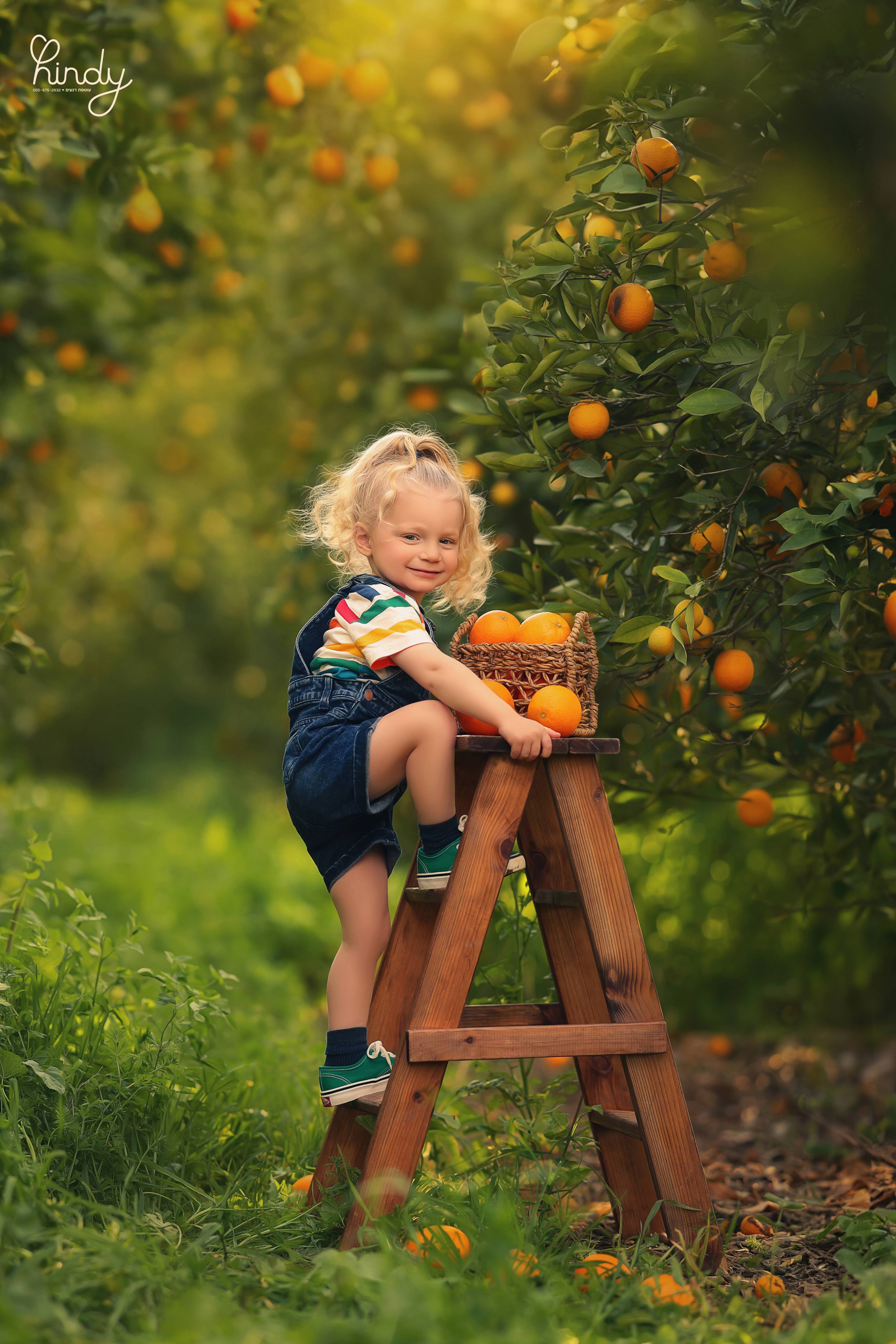 הינדי בלוי צילום 0556752832 (21).jpg