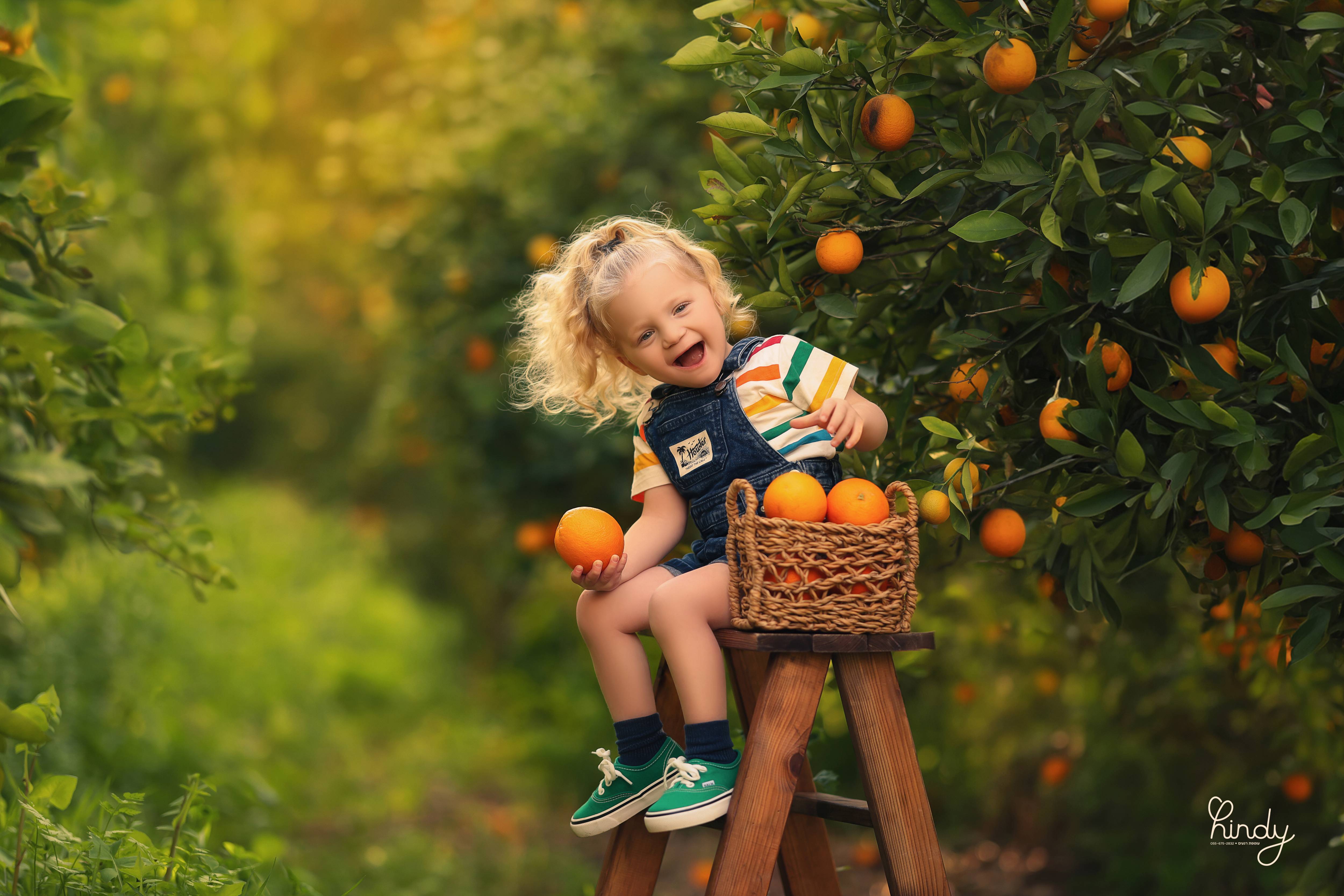 הינדי בלוי צילום 0556752832 (22).jpg