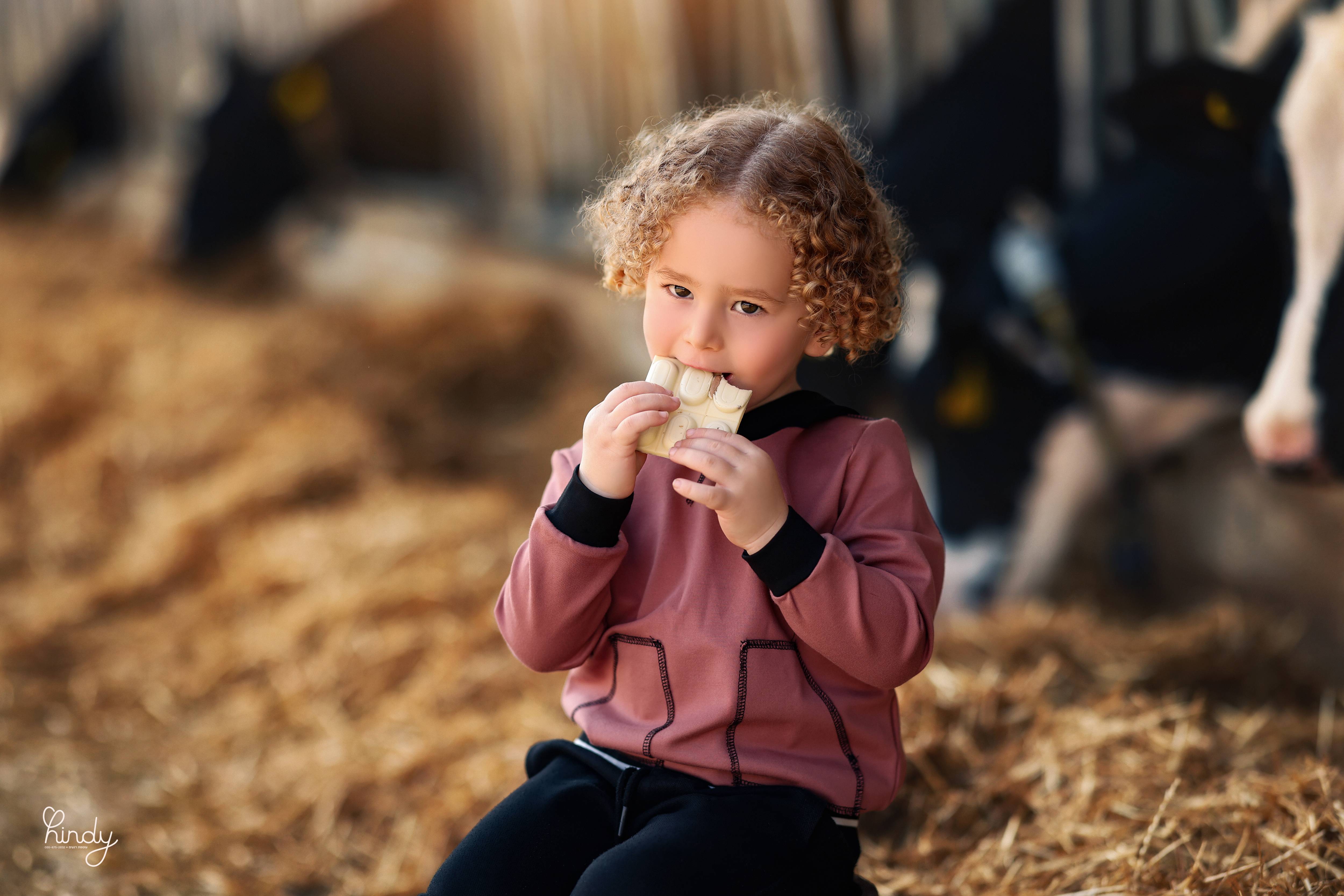 הינדי בלוי צילום 0556752832 (3).jpg