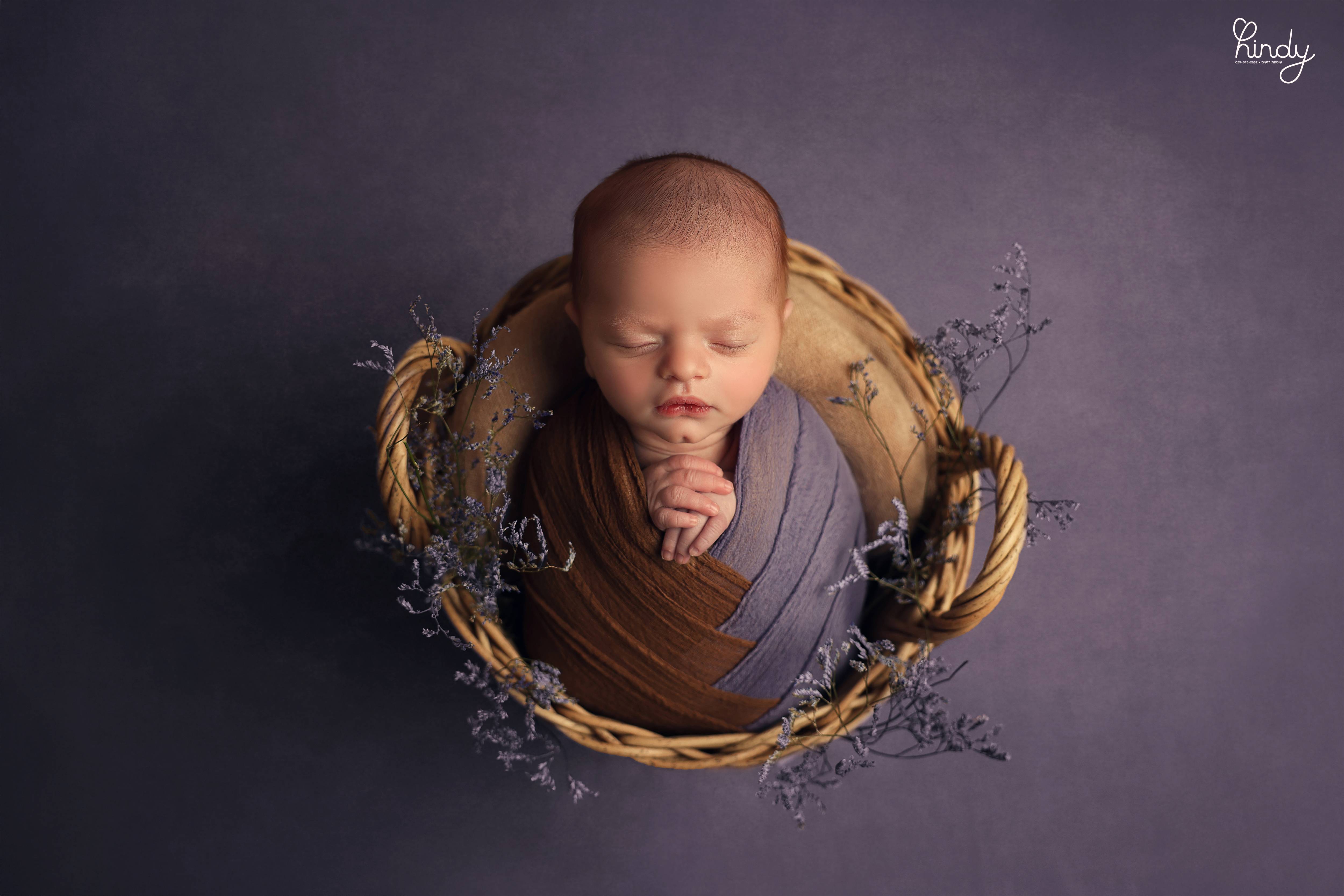 הינדי בלוי צילום 0556752832 (4).jpg