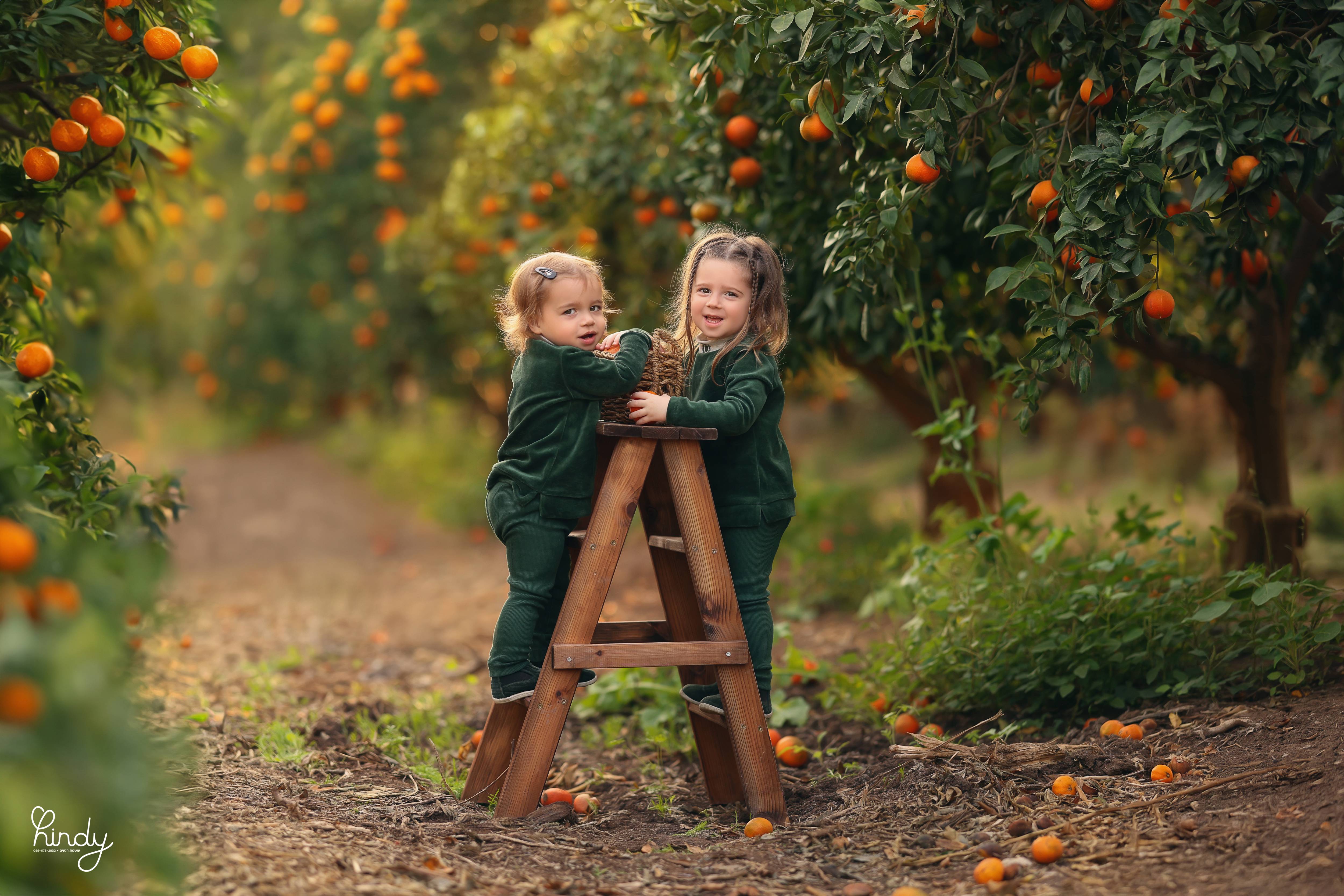 הינדי בלוי צילום 0556752832 (8).jpg