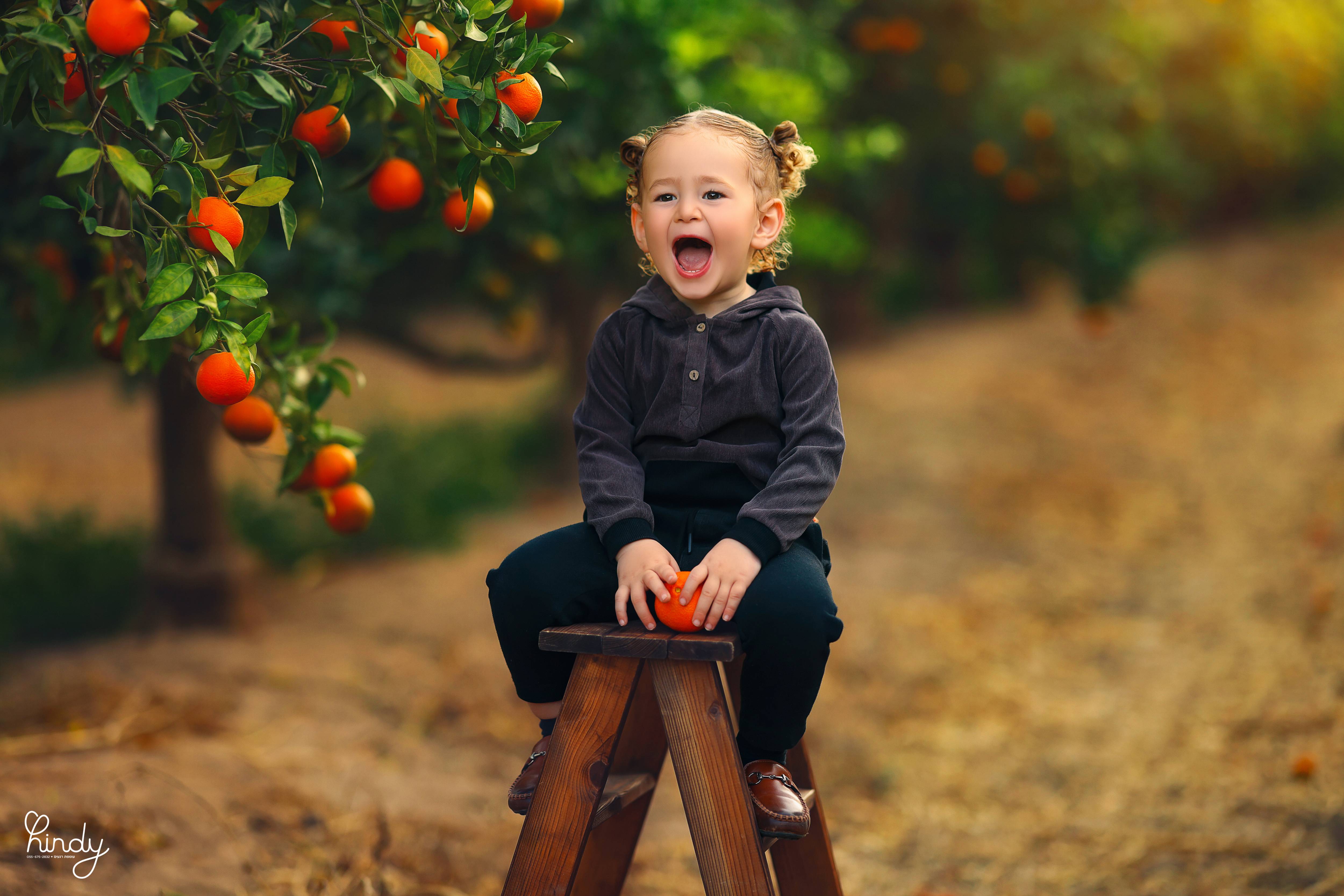 הינדי בלוי צילום 0556752832.jpg