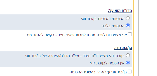 הכנסות בן זוג.png