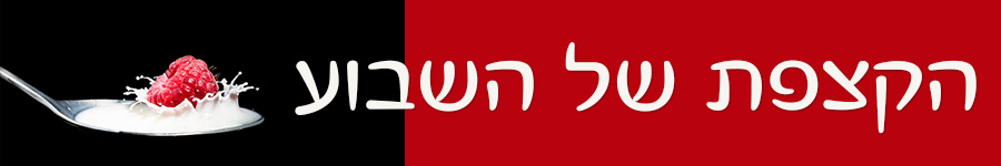 הכנס.jpg