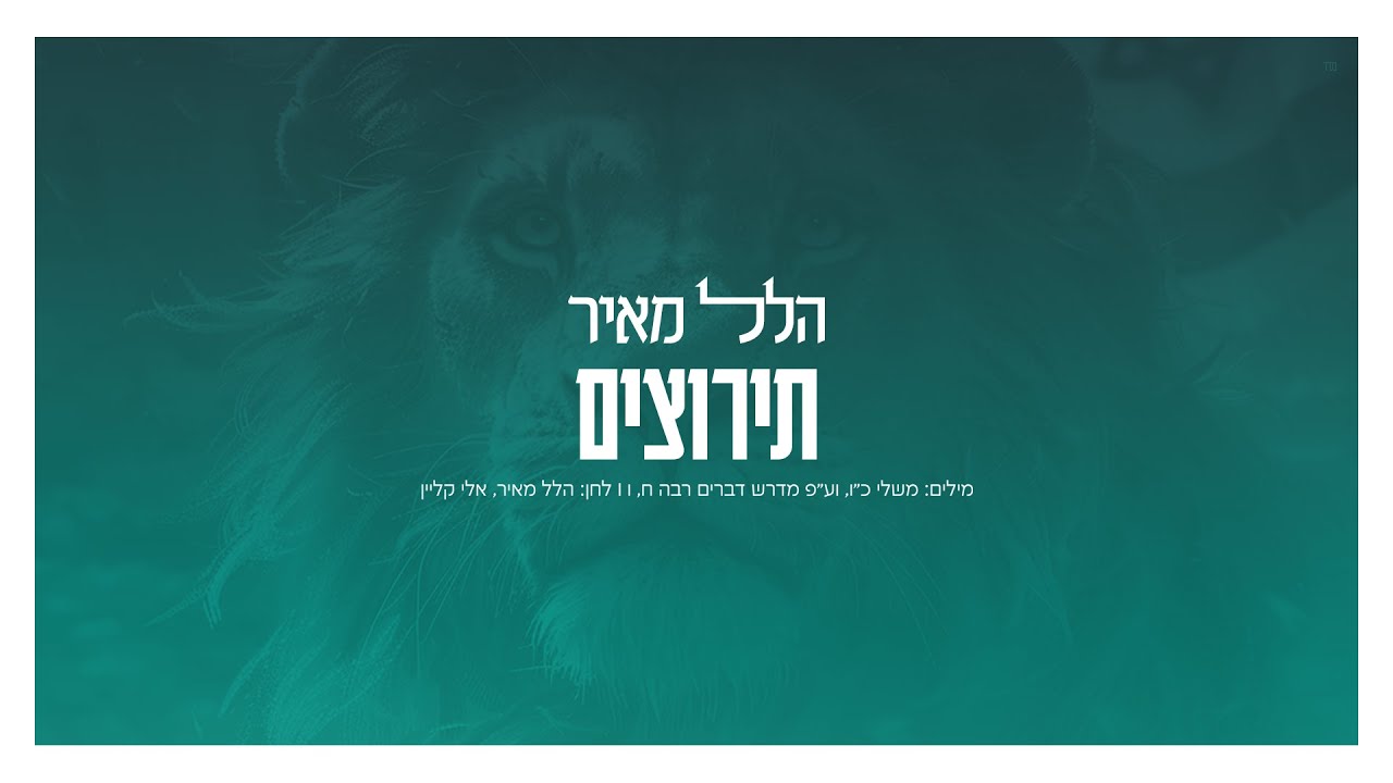 הלל מאיר - תירוצים.jpg