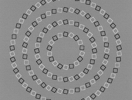 המעגלים הללו הם למעשה עגולים מושלמים ולא נוגעים זה בזה כלל. מצליחים לראות מעבר לאשליה.jpg