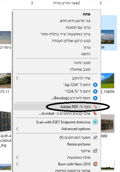 המרה.png