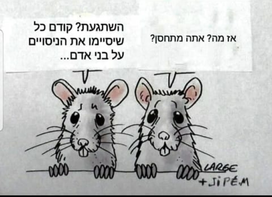 הנה.jpg