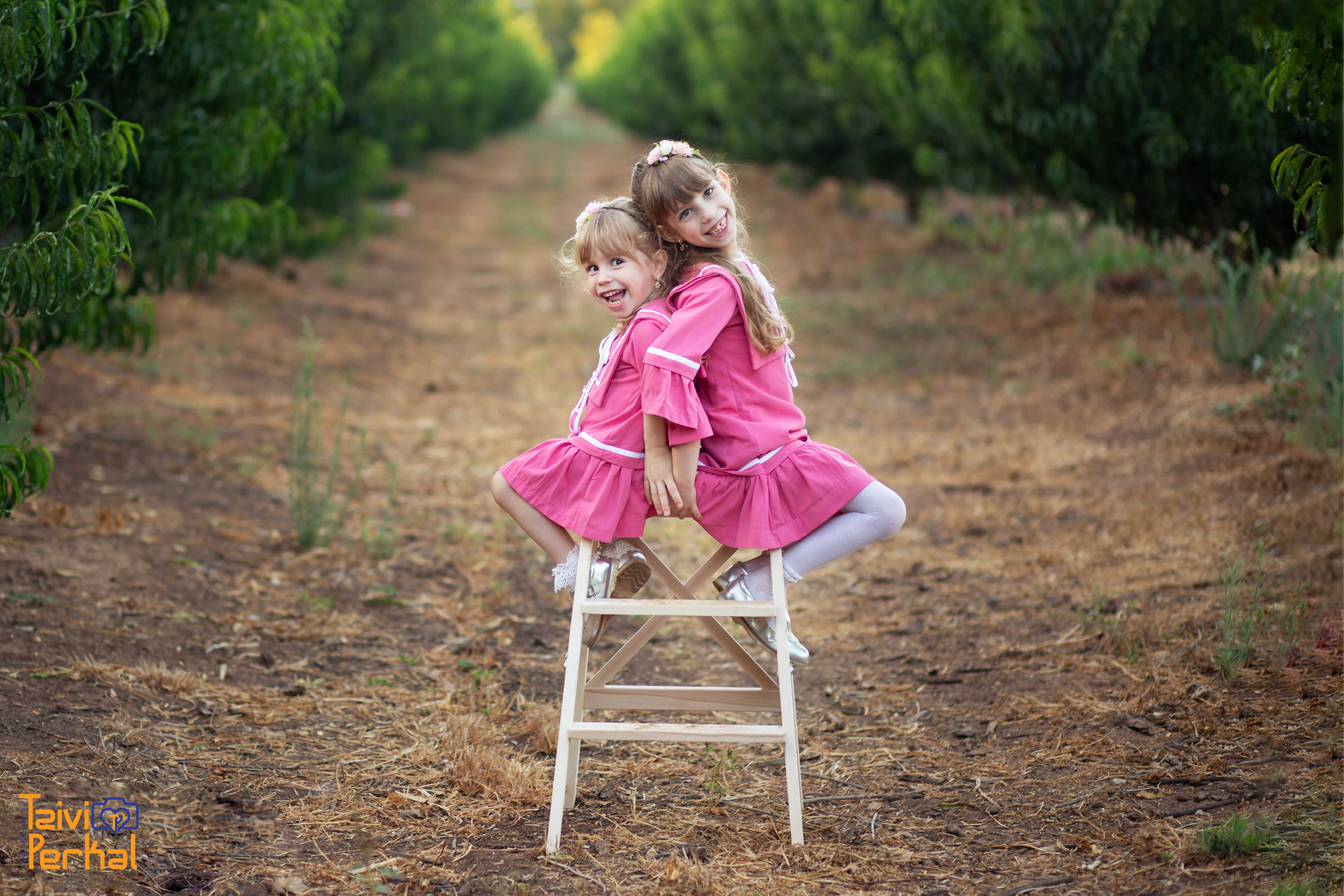 הני-הדס-לוגו_optimized (1).jpg