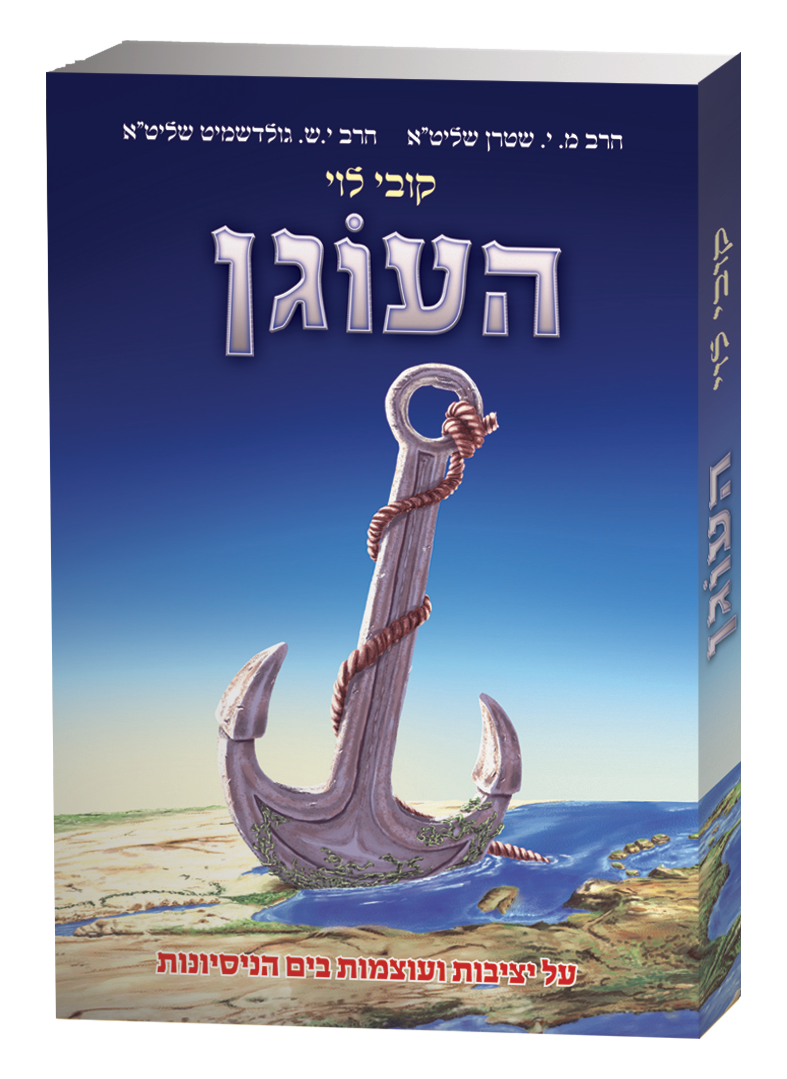 הספר הדמיה.png