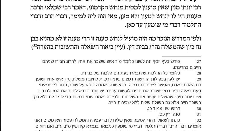 הערות שוליים.JPG