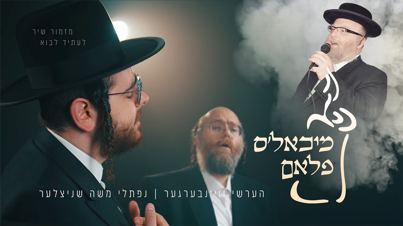הערשי ויינברגר & נפתלי משה שניצלער - מיכאל'ס פלאם.jpg